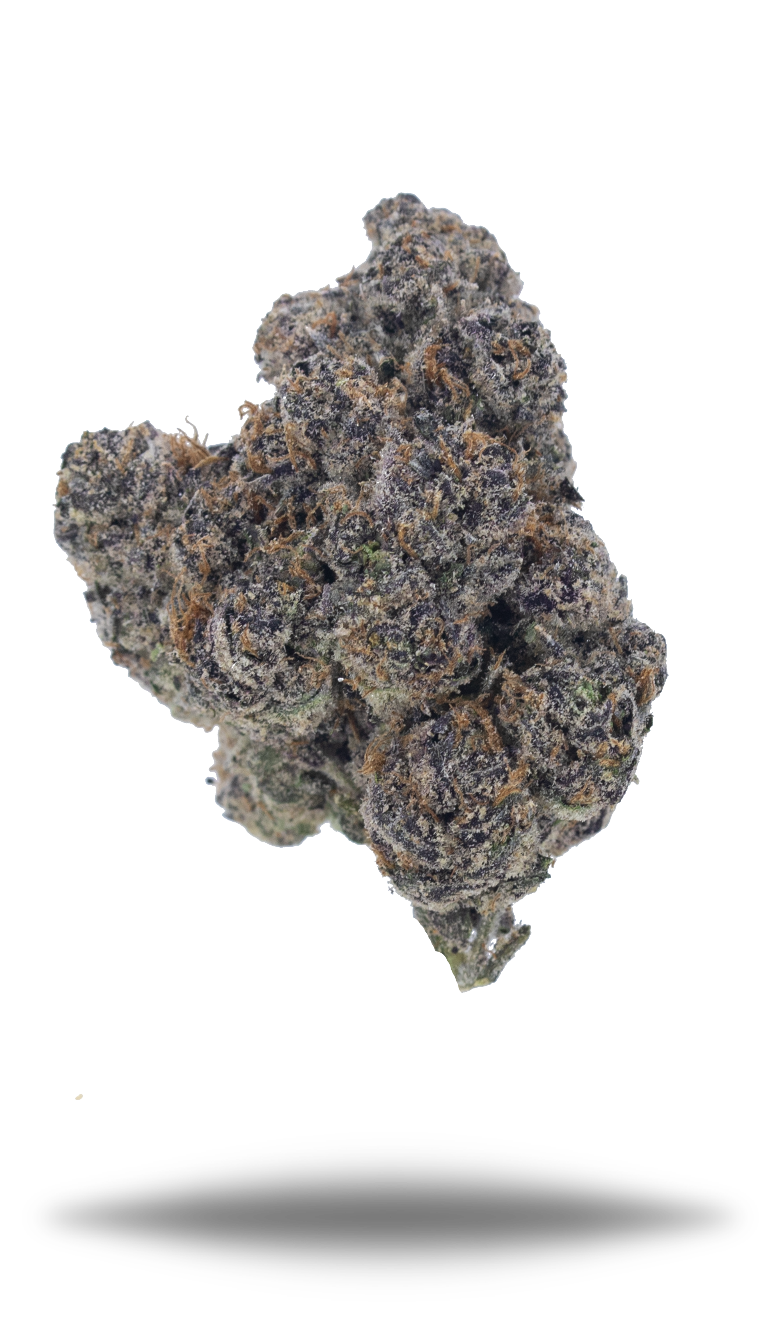 Bodega Candy - Damn Good | Legal Cannabis