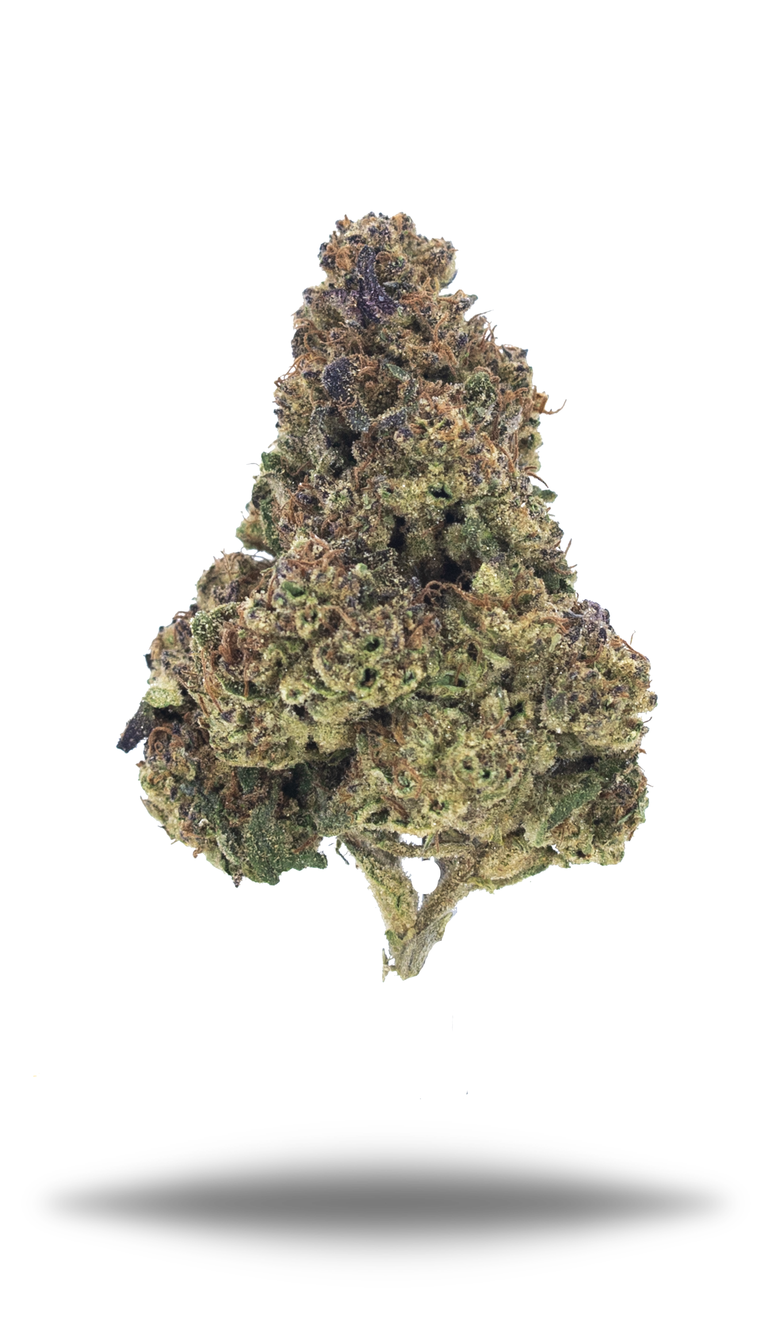 Candy Punch - Damn Good | Legal Cannabis