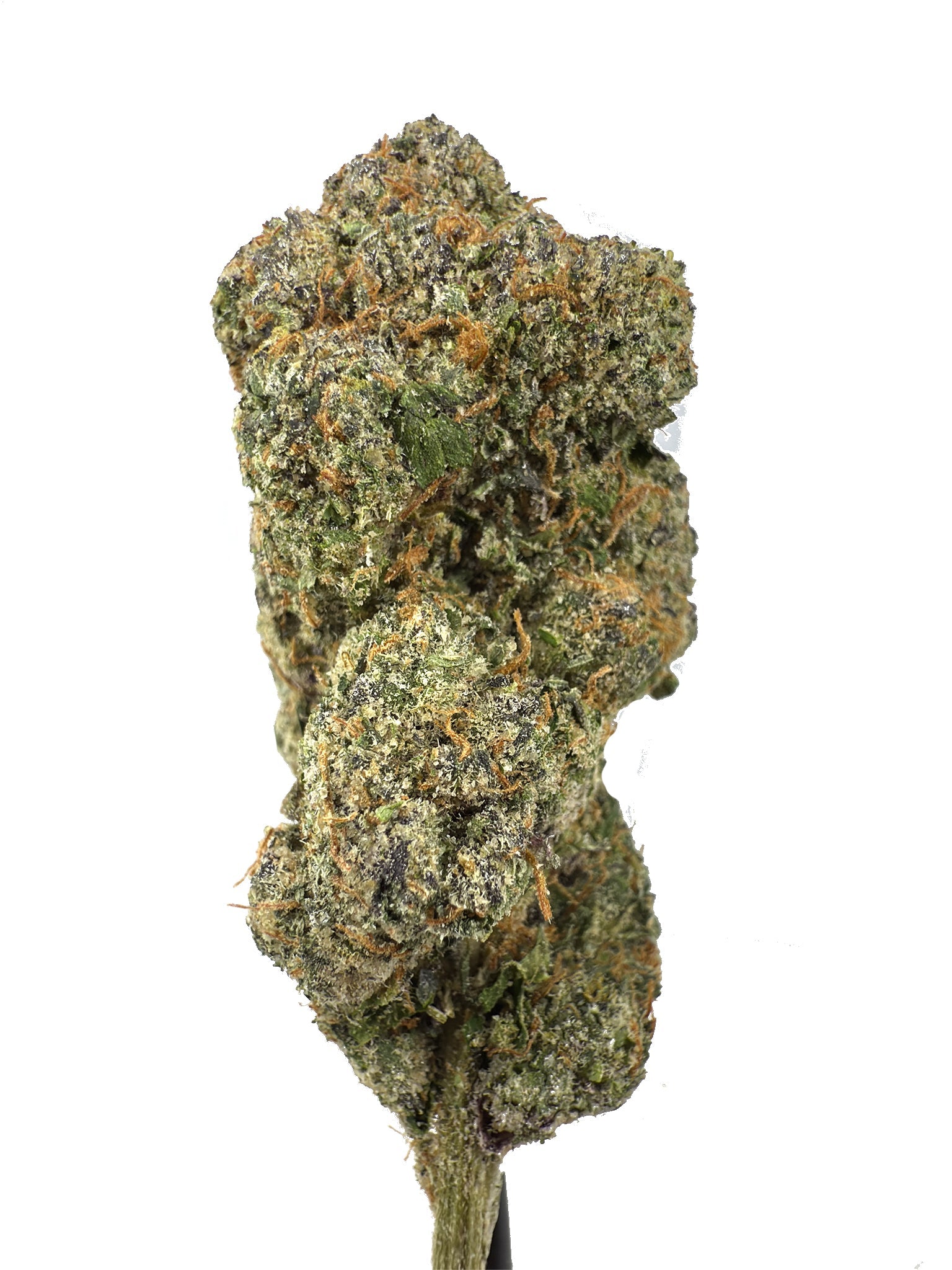 Chicago Runtz - Damn Good | Legal Cannabis