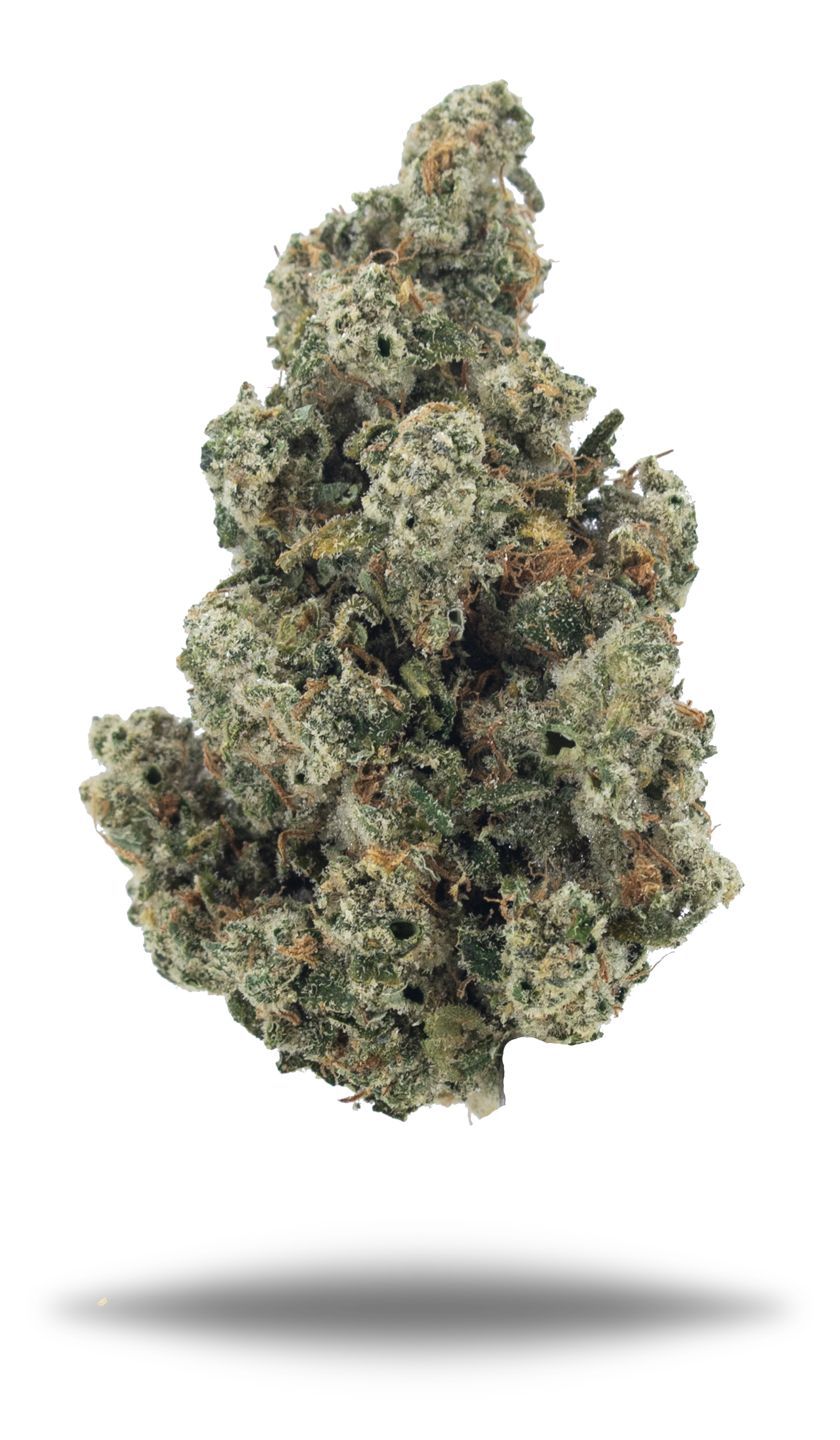 Jackfruit - Damn Good | Legal Cannabis