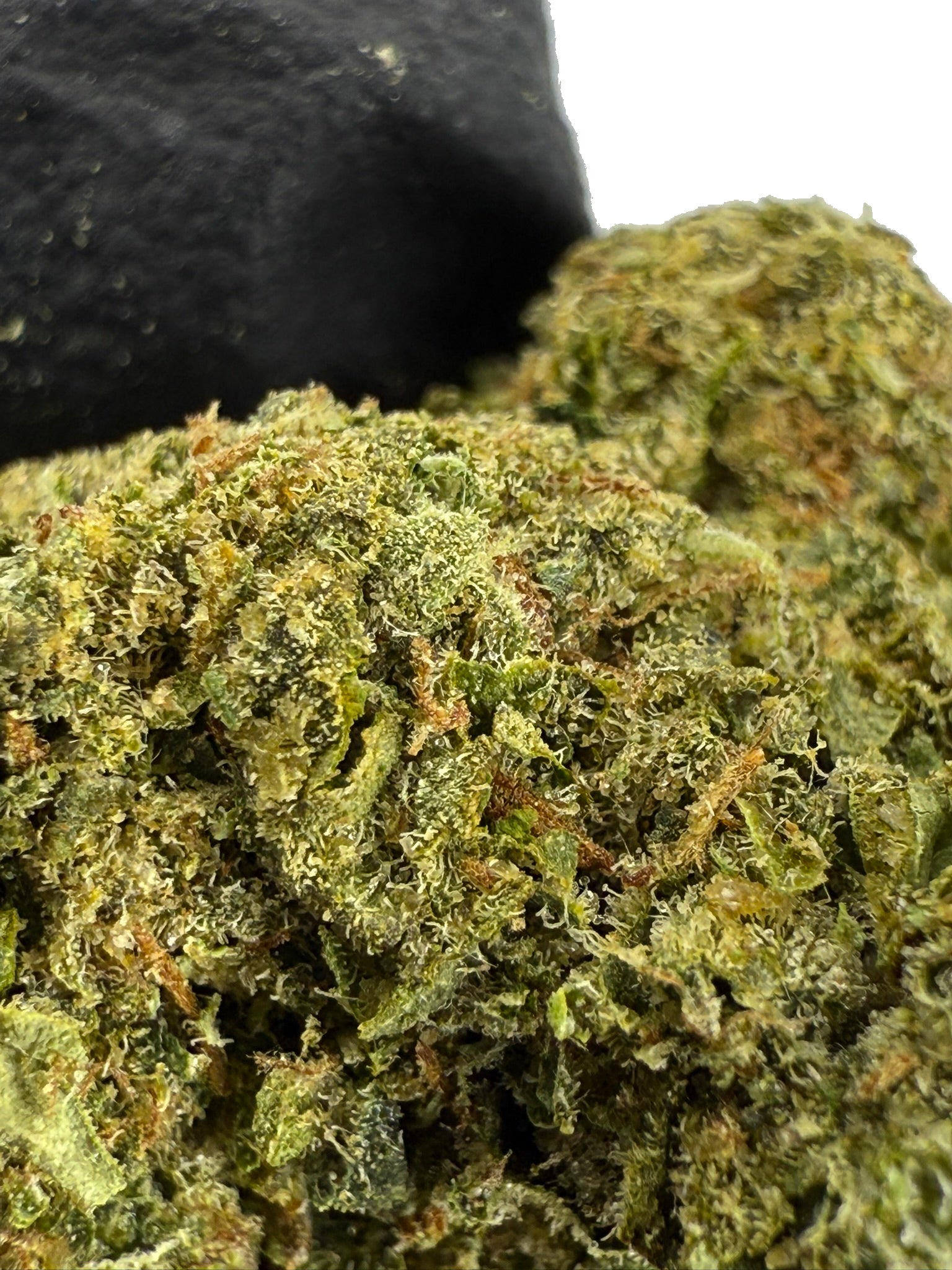 OG Kush - Damn Good | Legal Cannabis