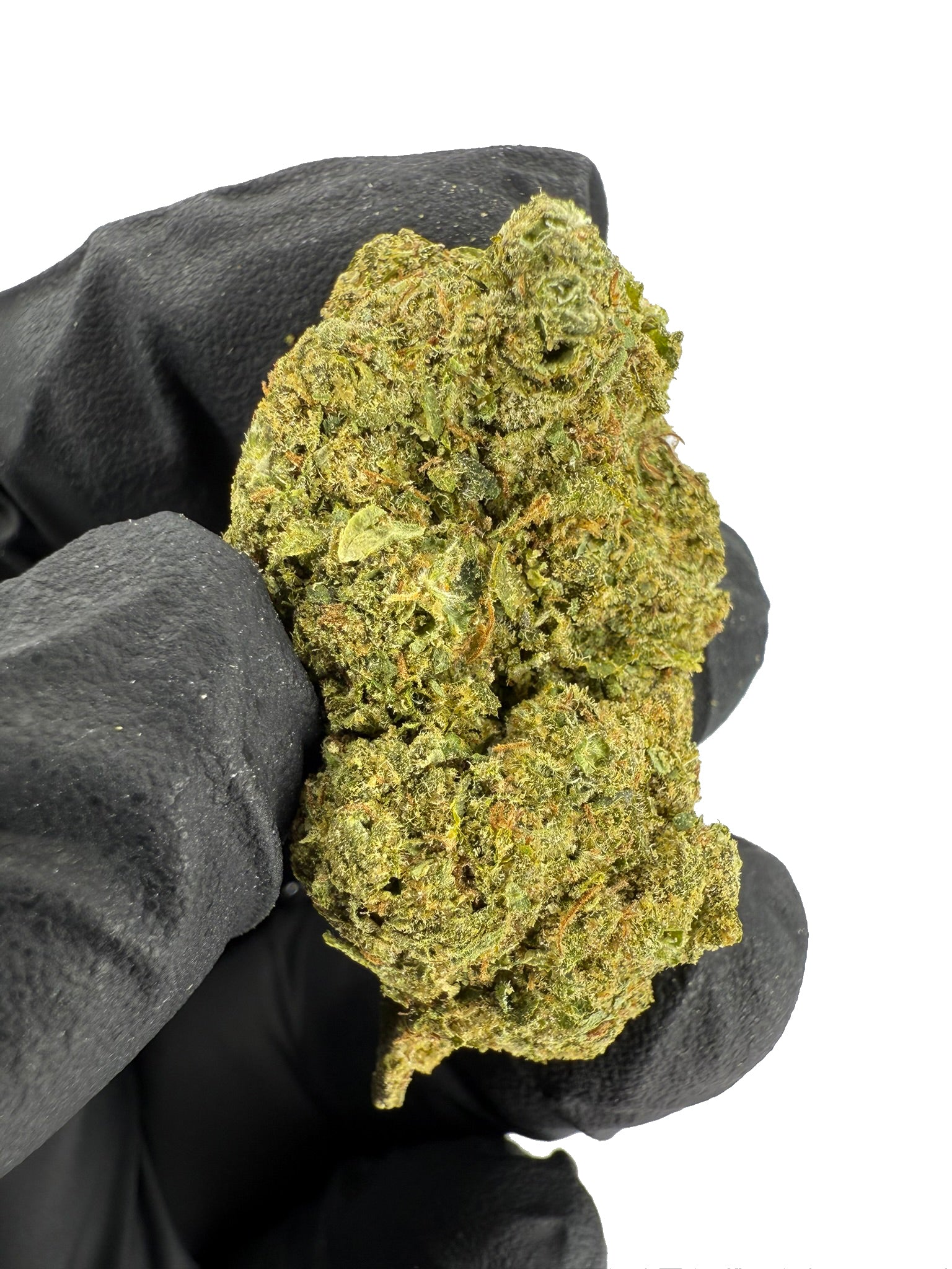 OG Kush - Damn Good | Legal Cannabis