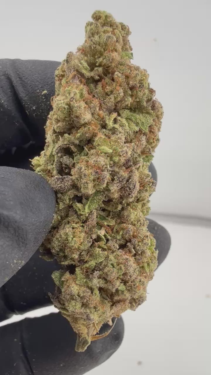 Load video: Lemon Punch