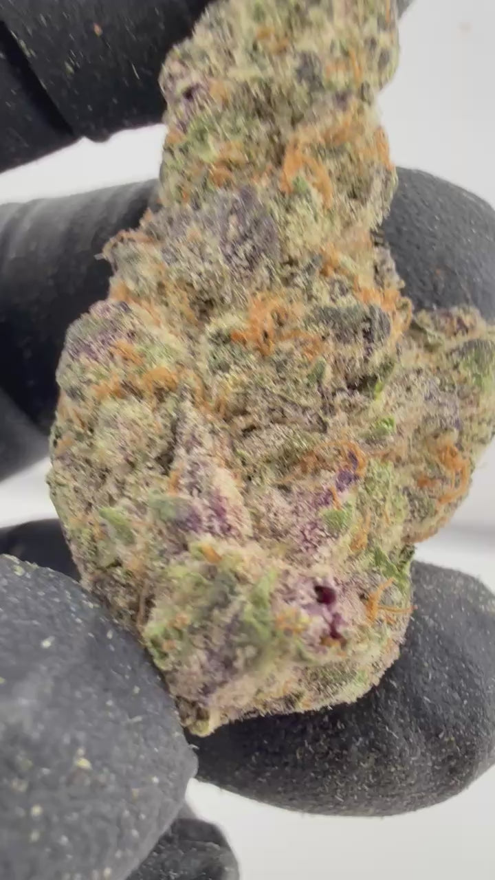 Load video: Blockberry