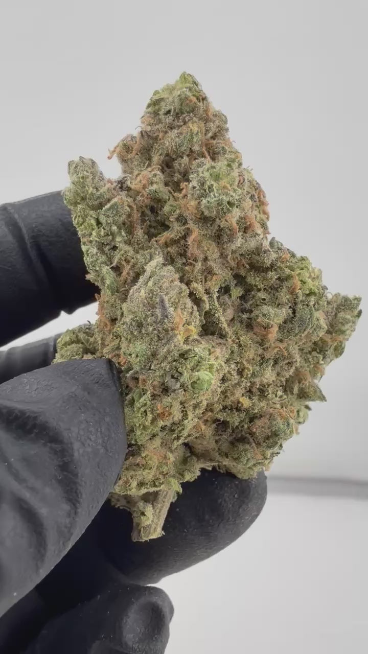 Load video: Blue Dream x SSH