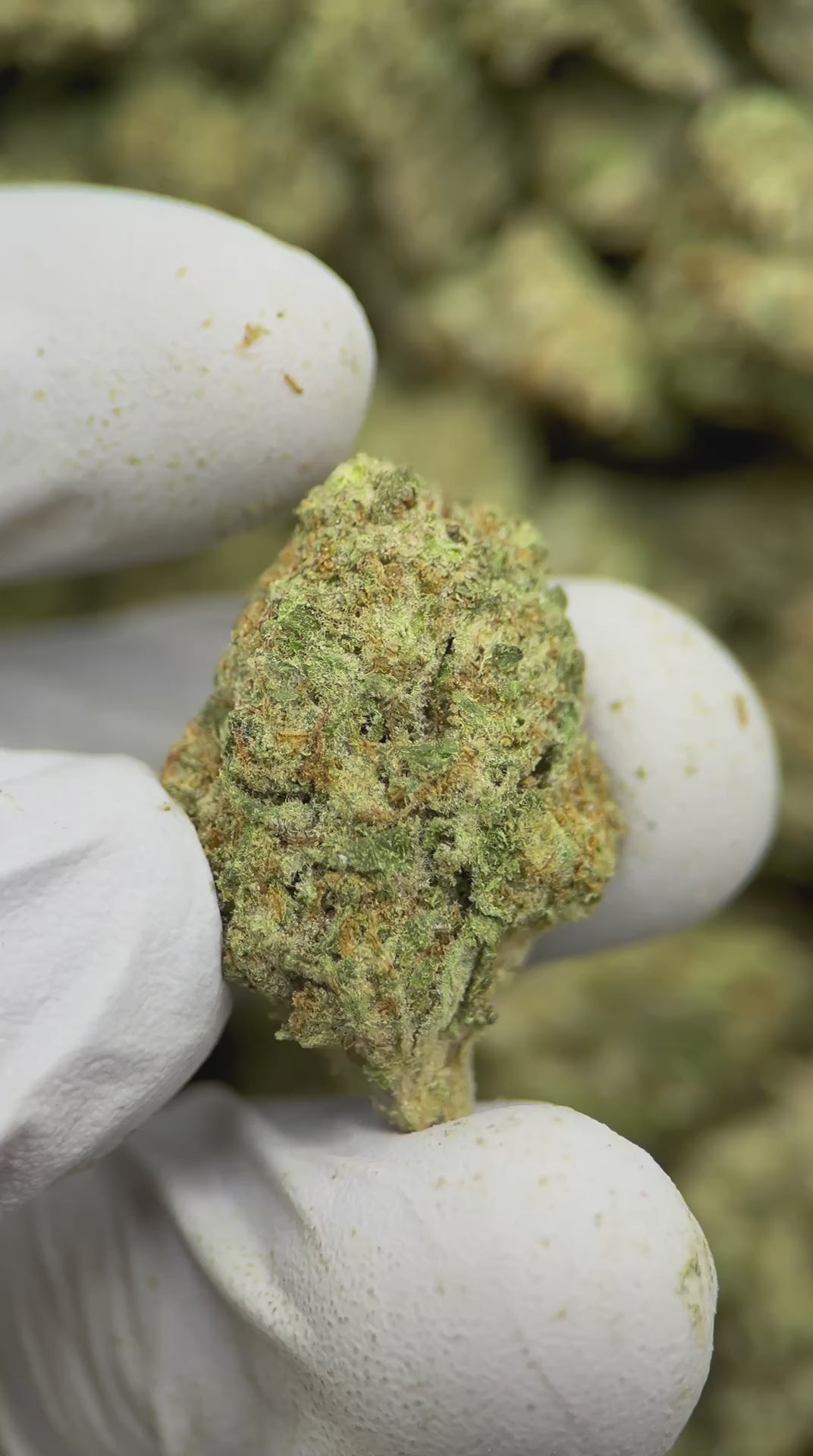 Load video: Apple Strudel