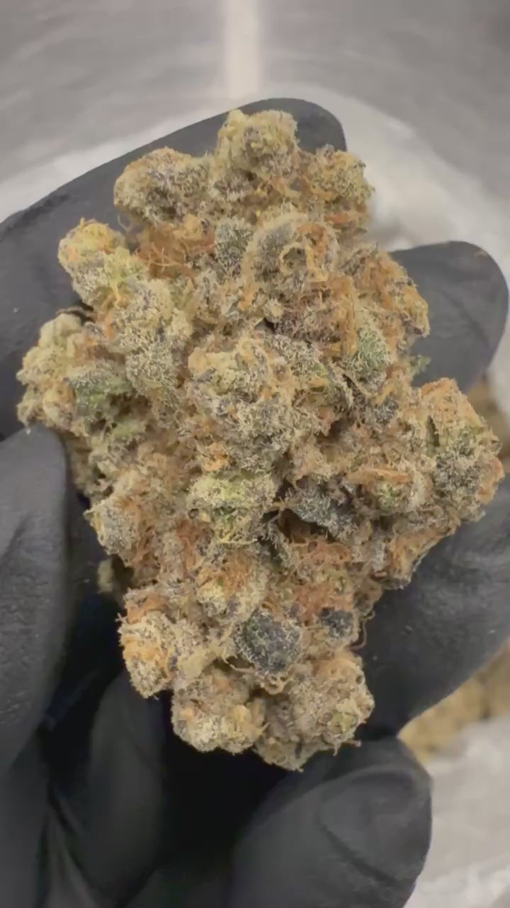Load video: Amsterdam Cheese
