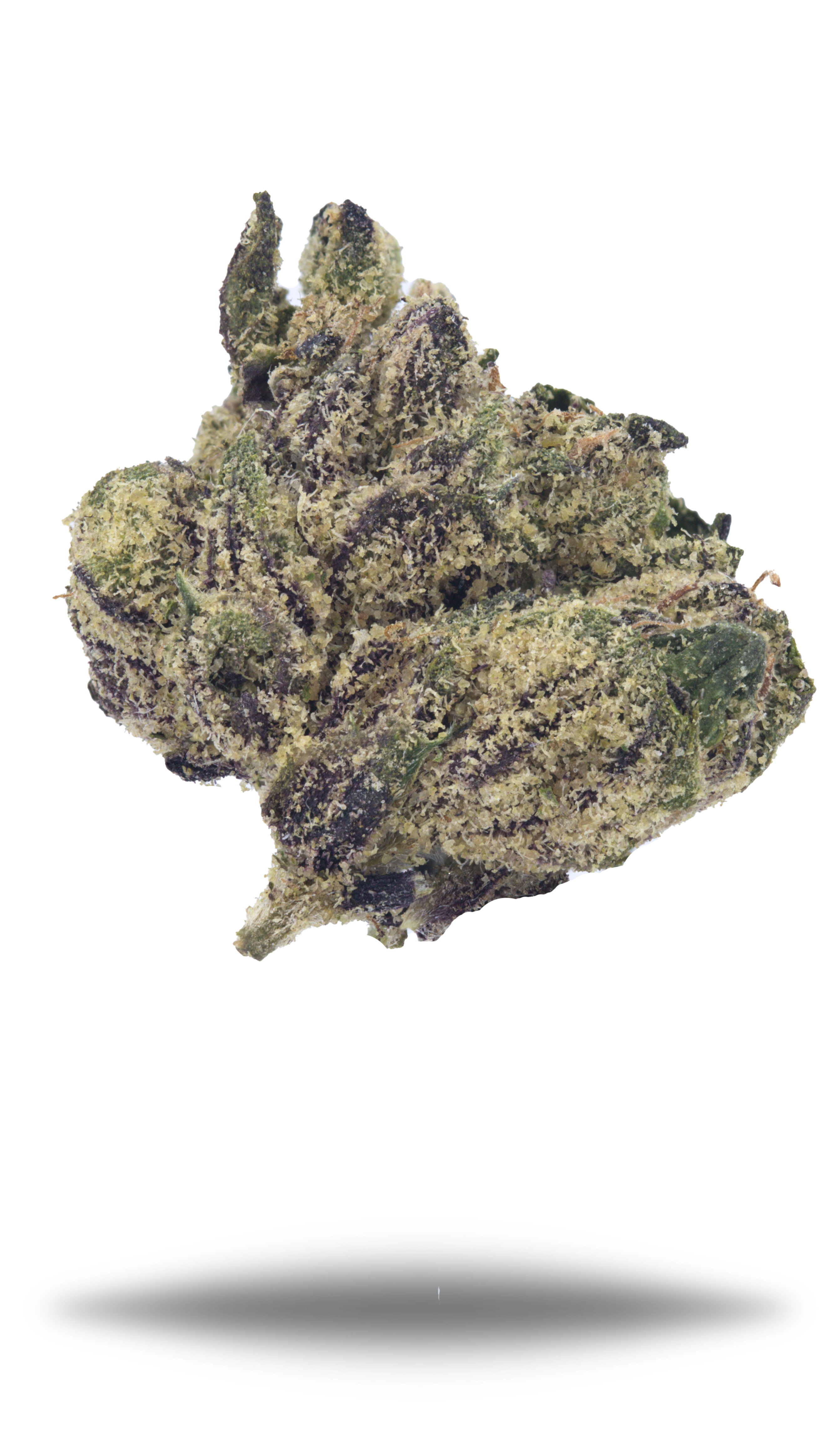 Purple Zooties Smalls - Damn Good | Legal Cannabis