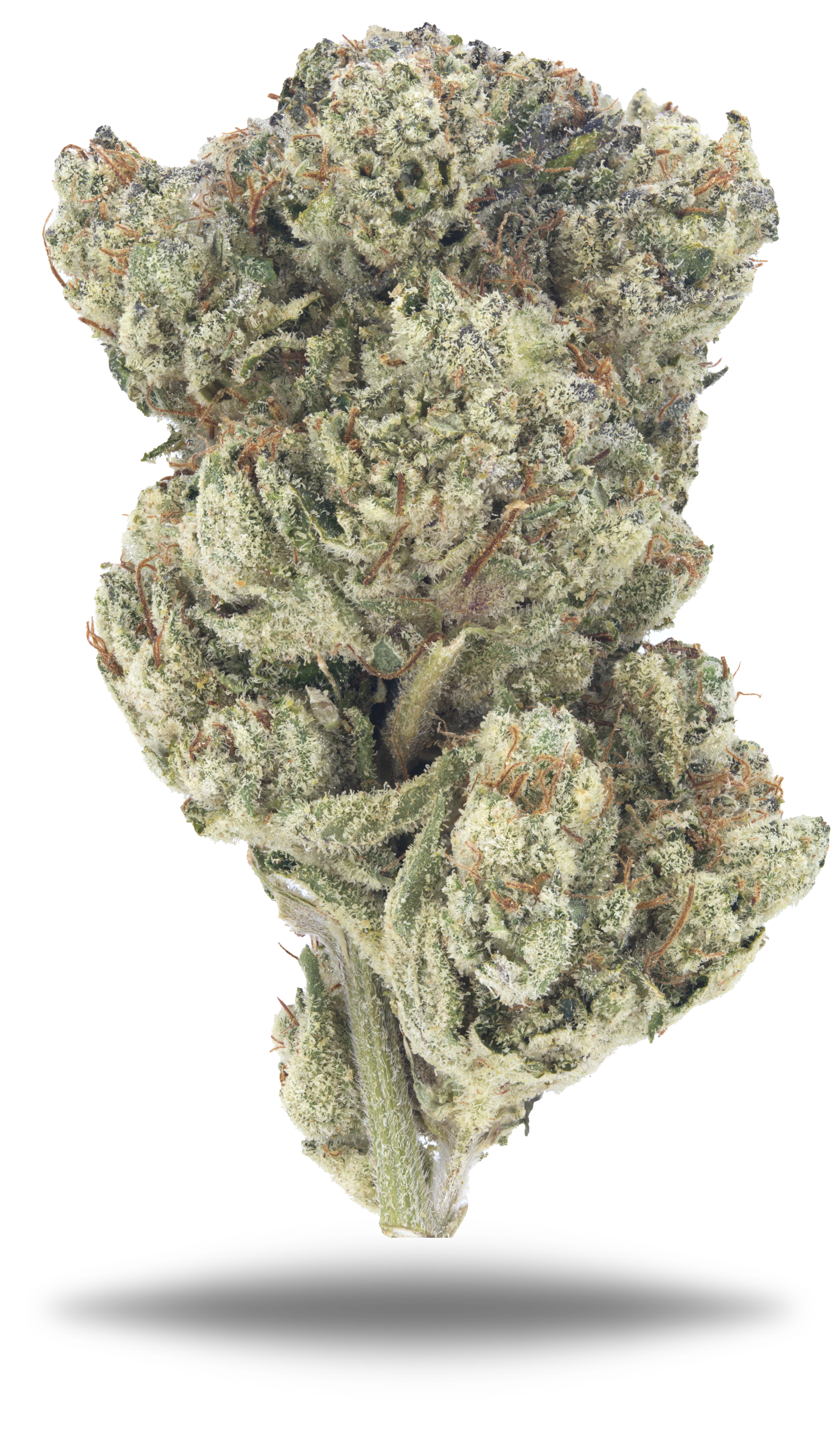 Reapers Reserve - Damn Good | Legal Cannabis