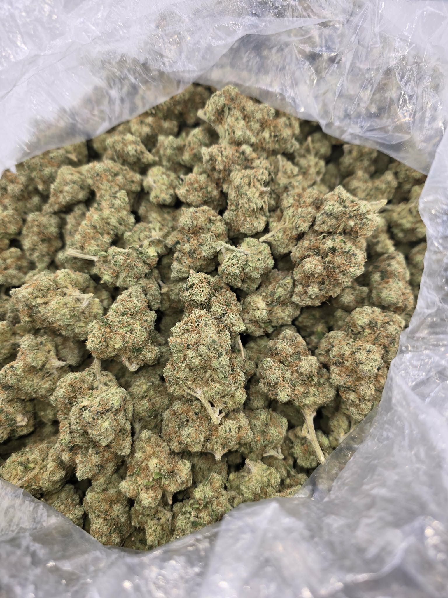 Stardawg - Damn Good | Legal Cannabis