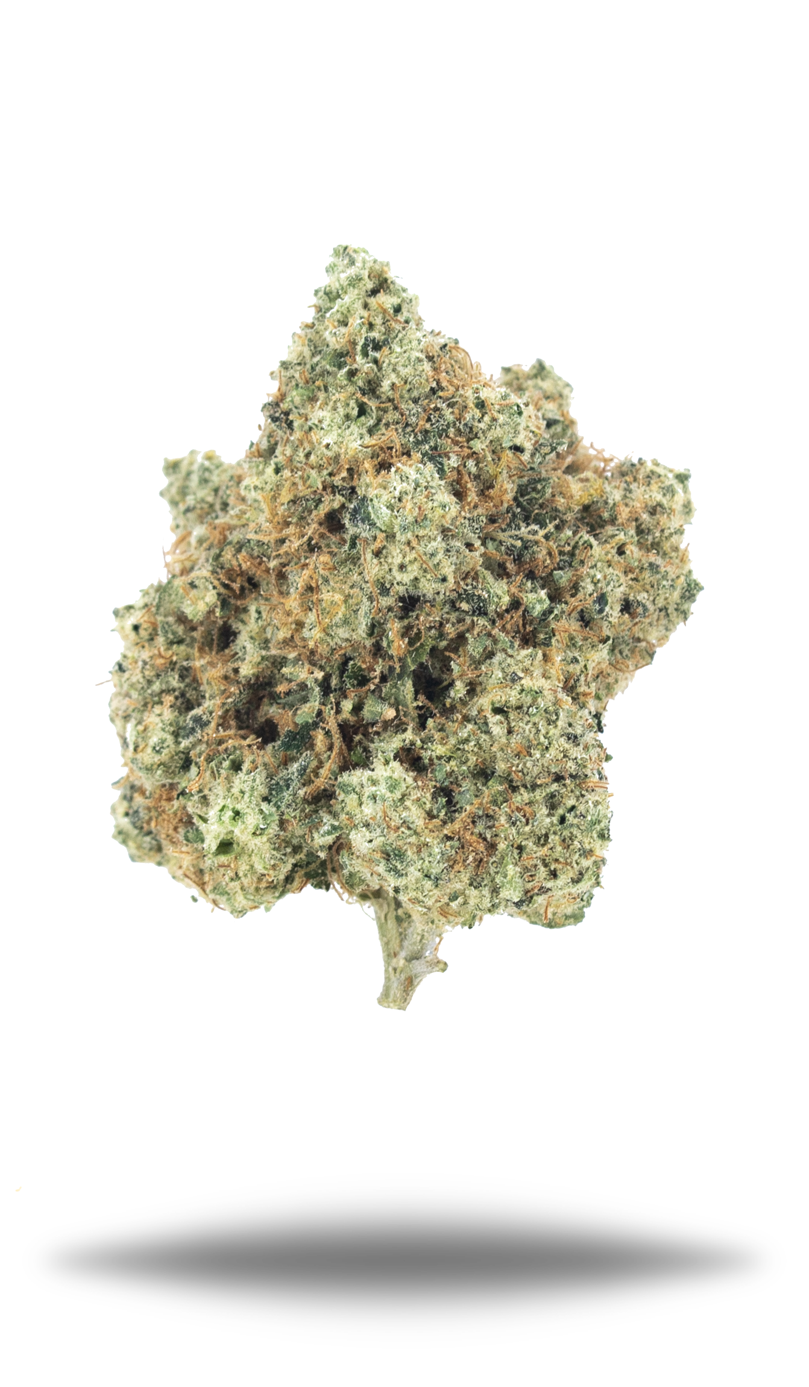 Stardawg - Damn Good | Legal Cannabis