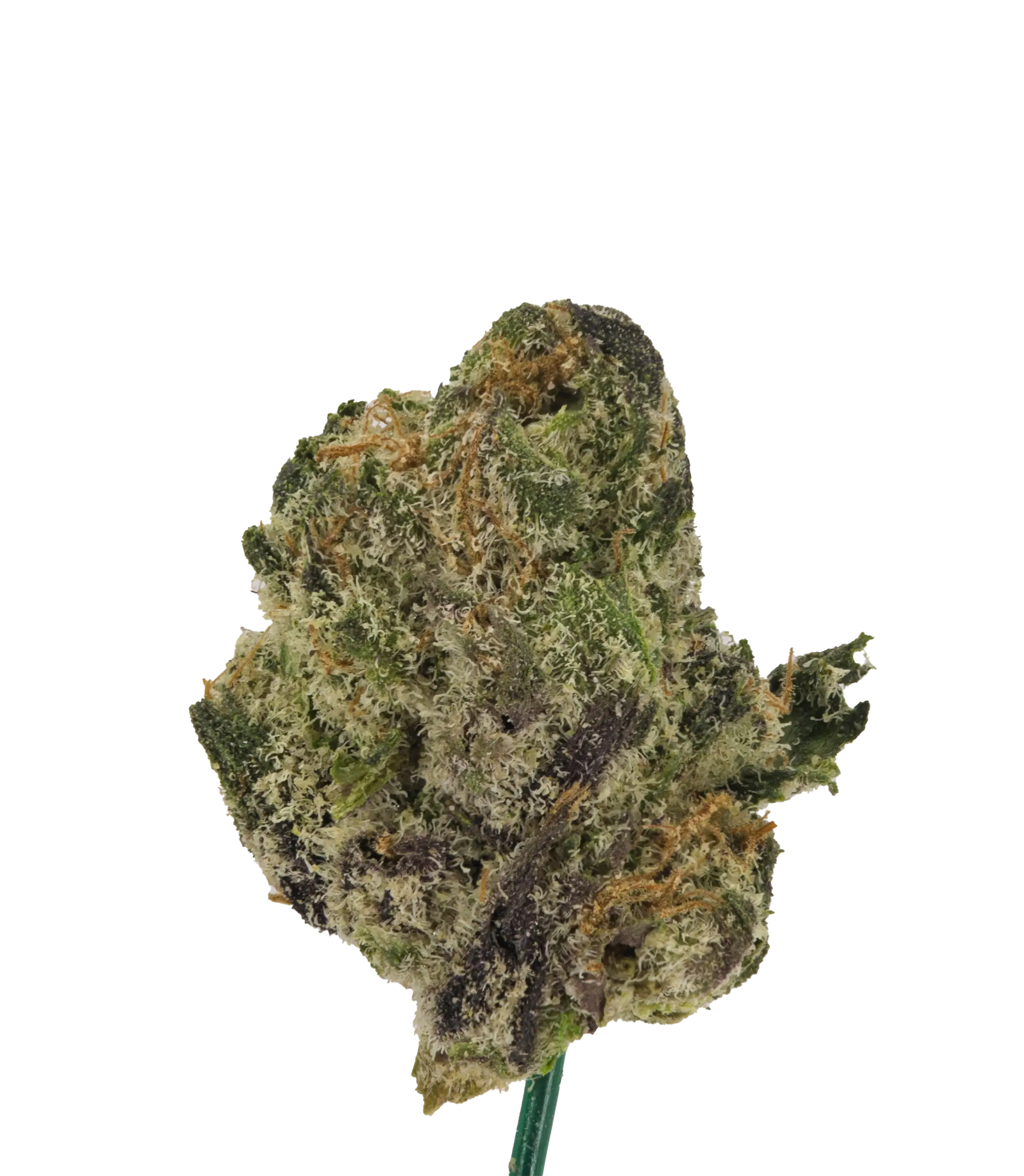 Garlic Glaze Smalls - Damn Good | Legal Cannabis