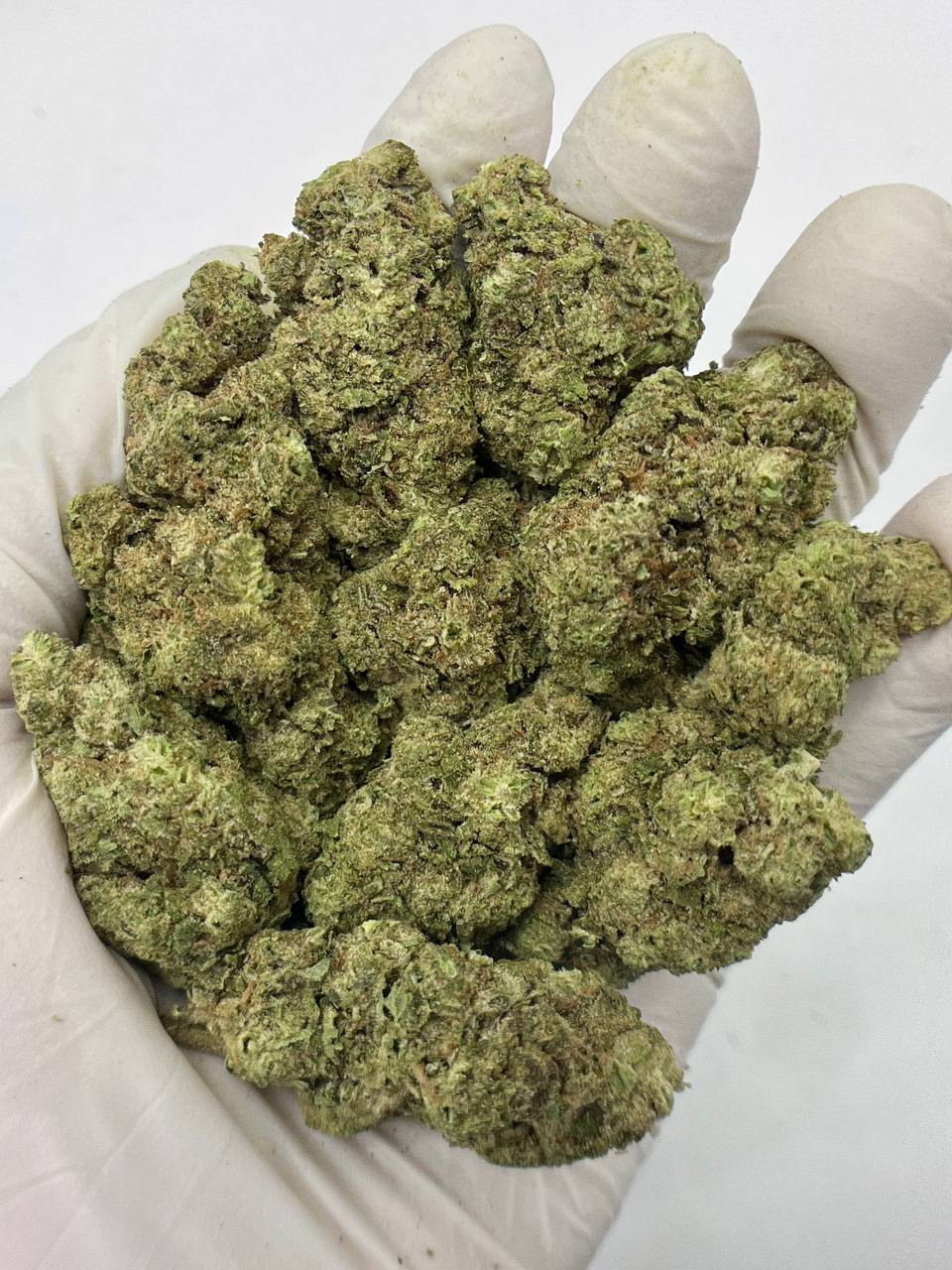 Hashburger - Damn Good | Legal Cannabis