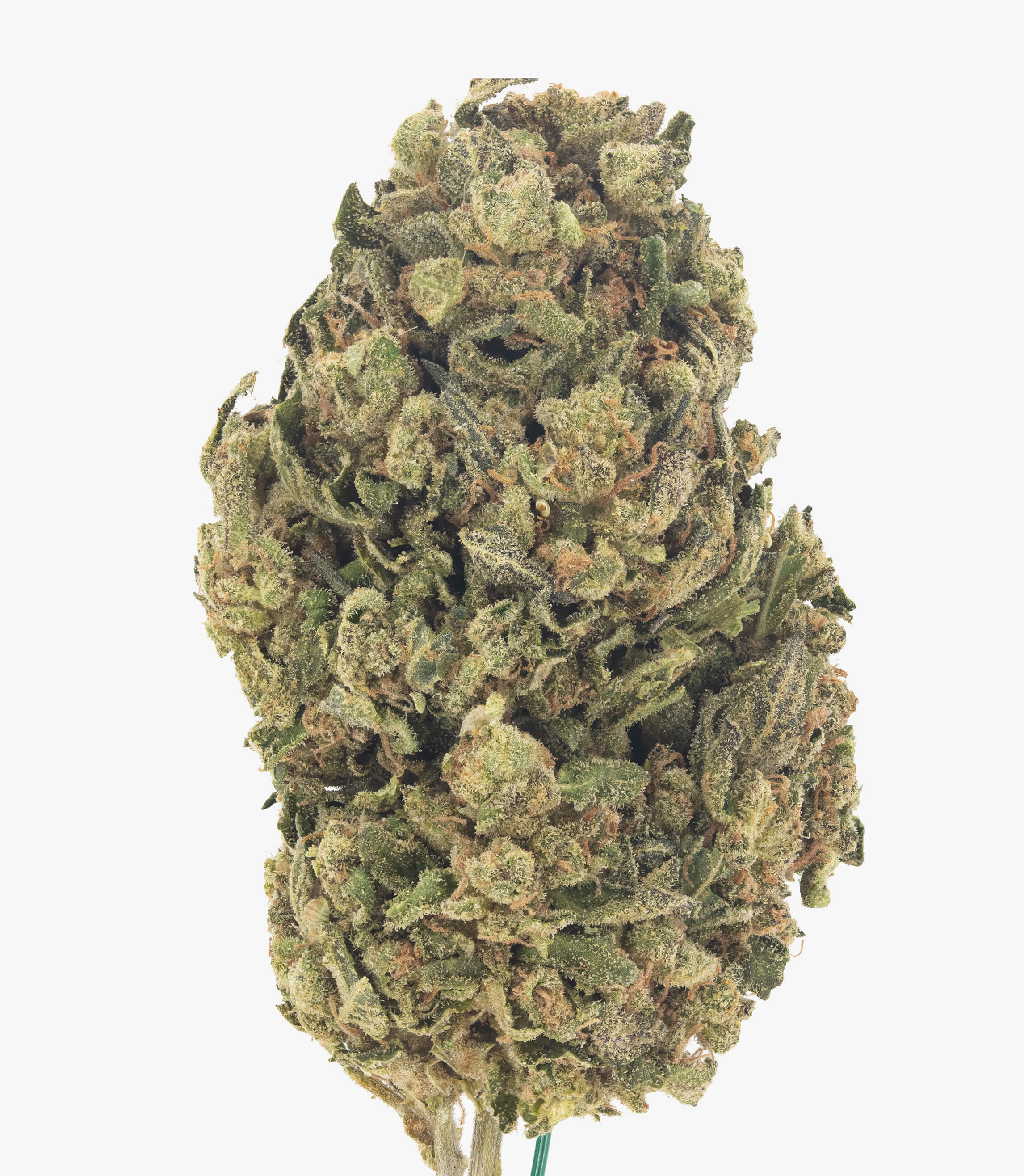 Hood Lemon - Damn Good | Legal Cannabis