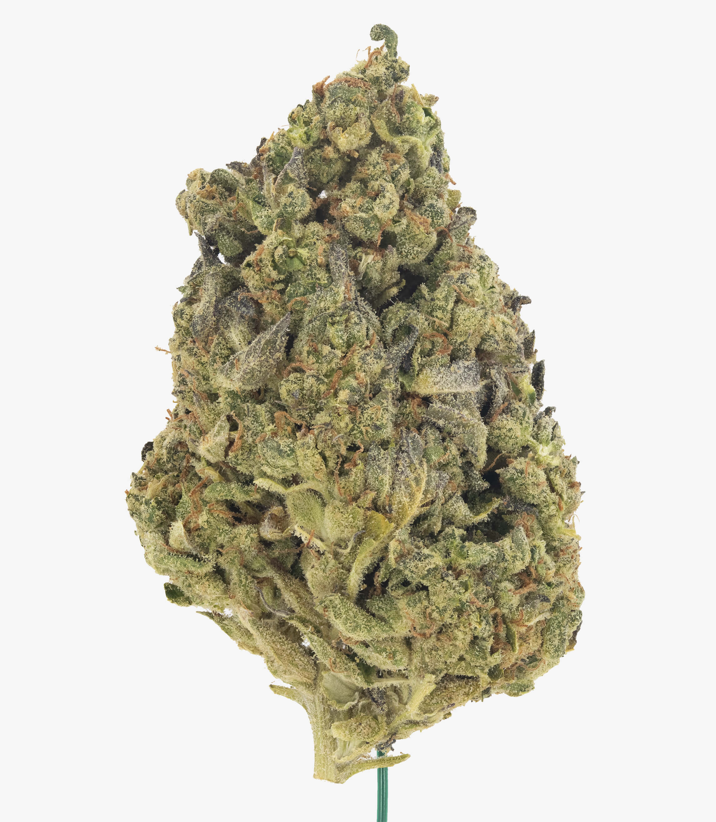 Lilac Diesel - Damn Good | Legal Cannabis