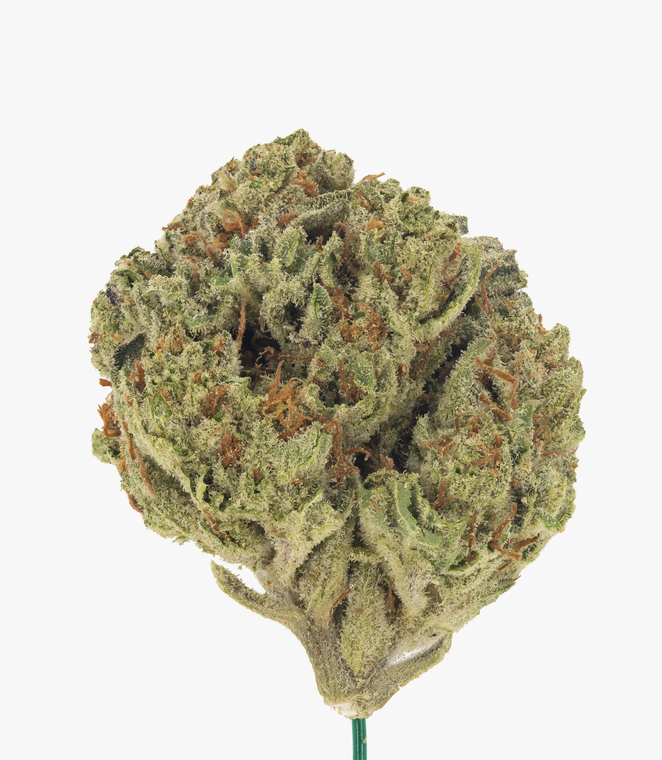 Orange Cream Pop - Damn Good | Legal Cannabis