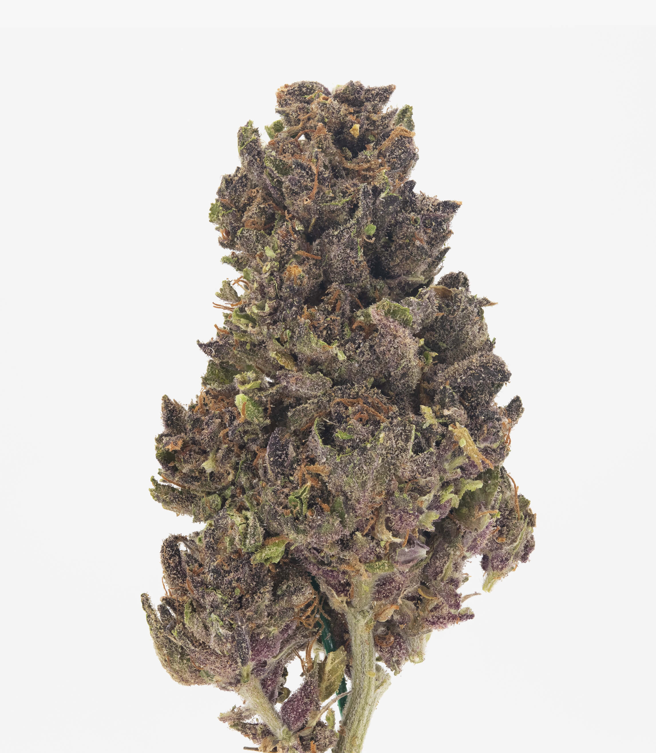 Purple Ice Pop - Damn Good | Legal Cannabis