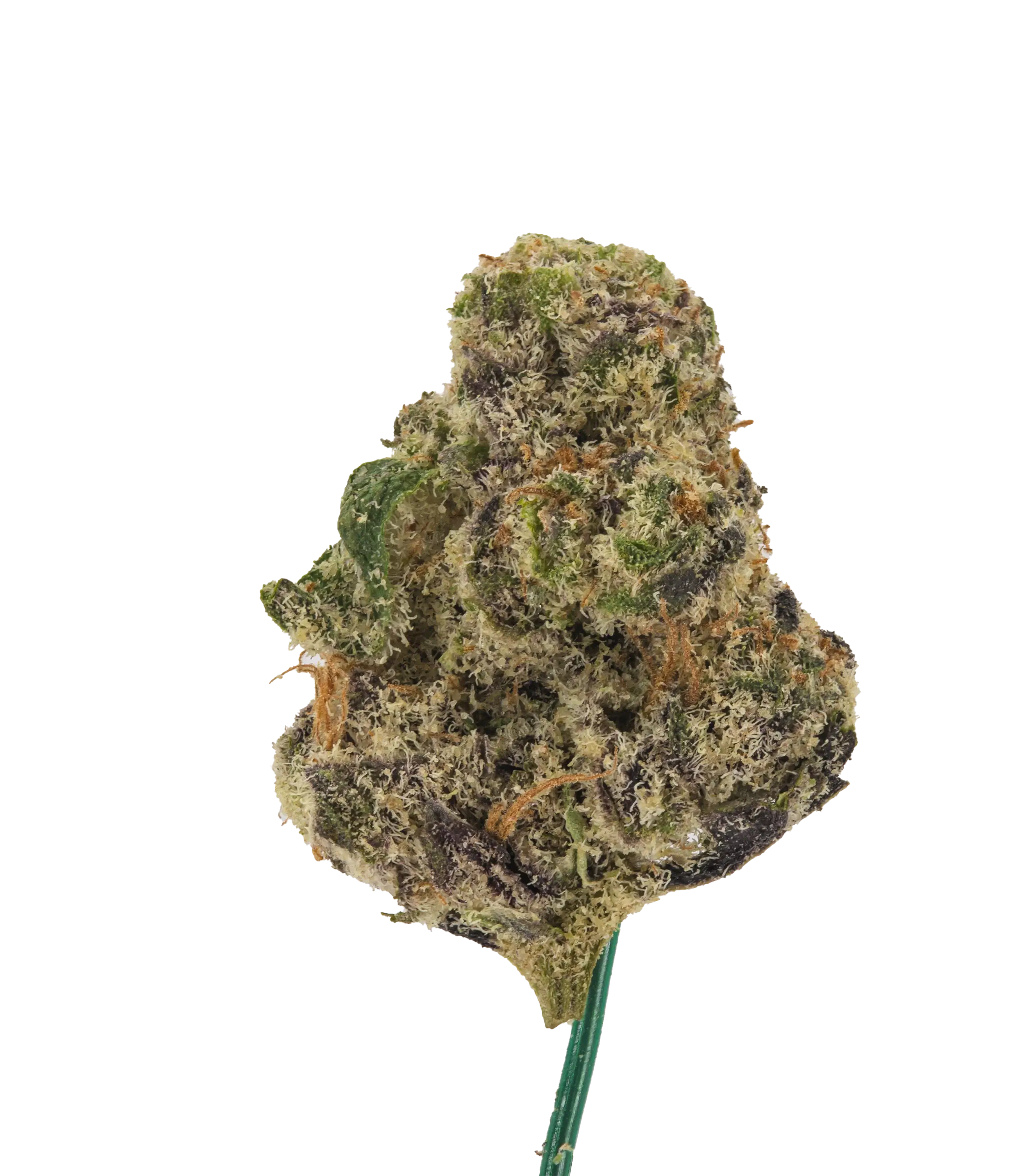 Purple Tesla Smalls - Damn Good | Legal Cannabis