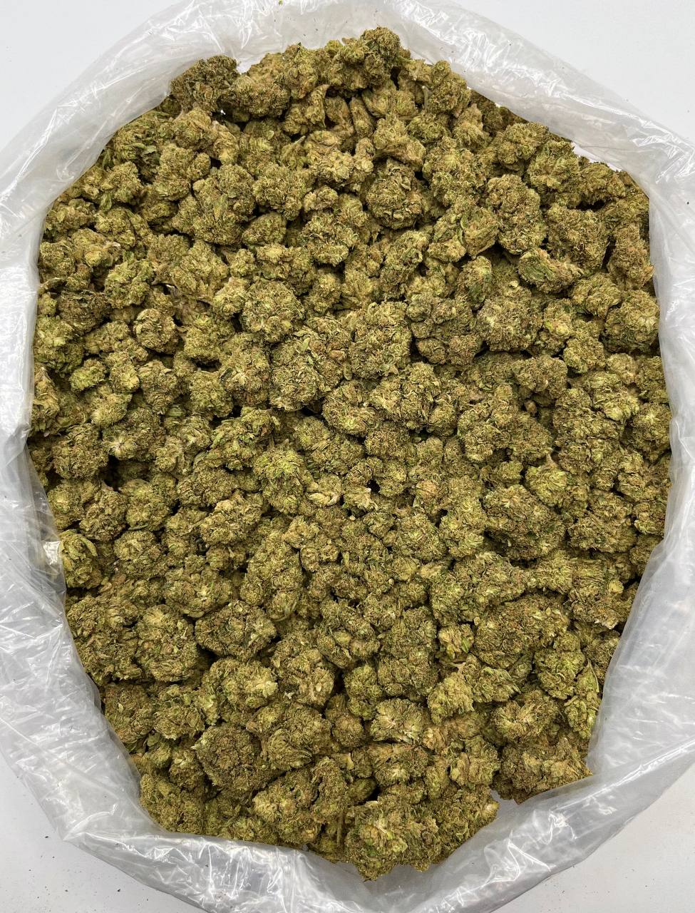 Acapulco Haze - Damn Good | Legal Cannabis