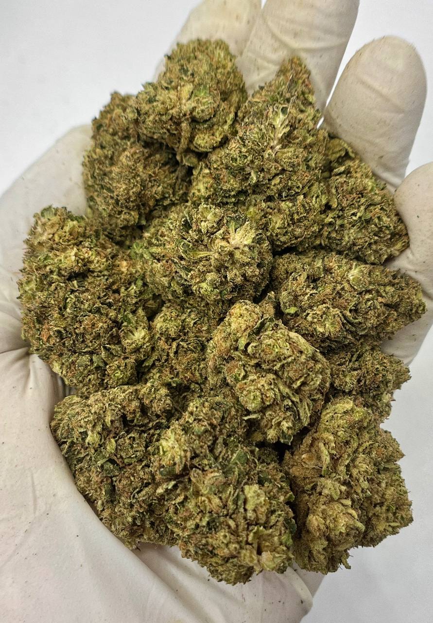 Acapulco Haze - Damn Good | Legal Cannabis