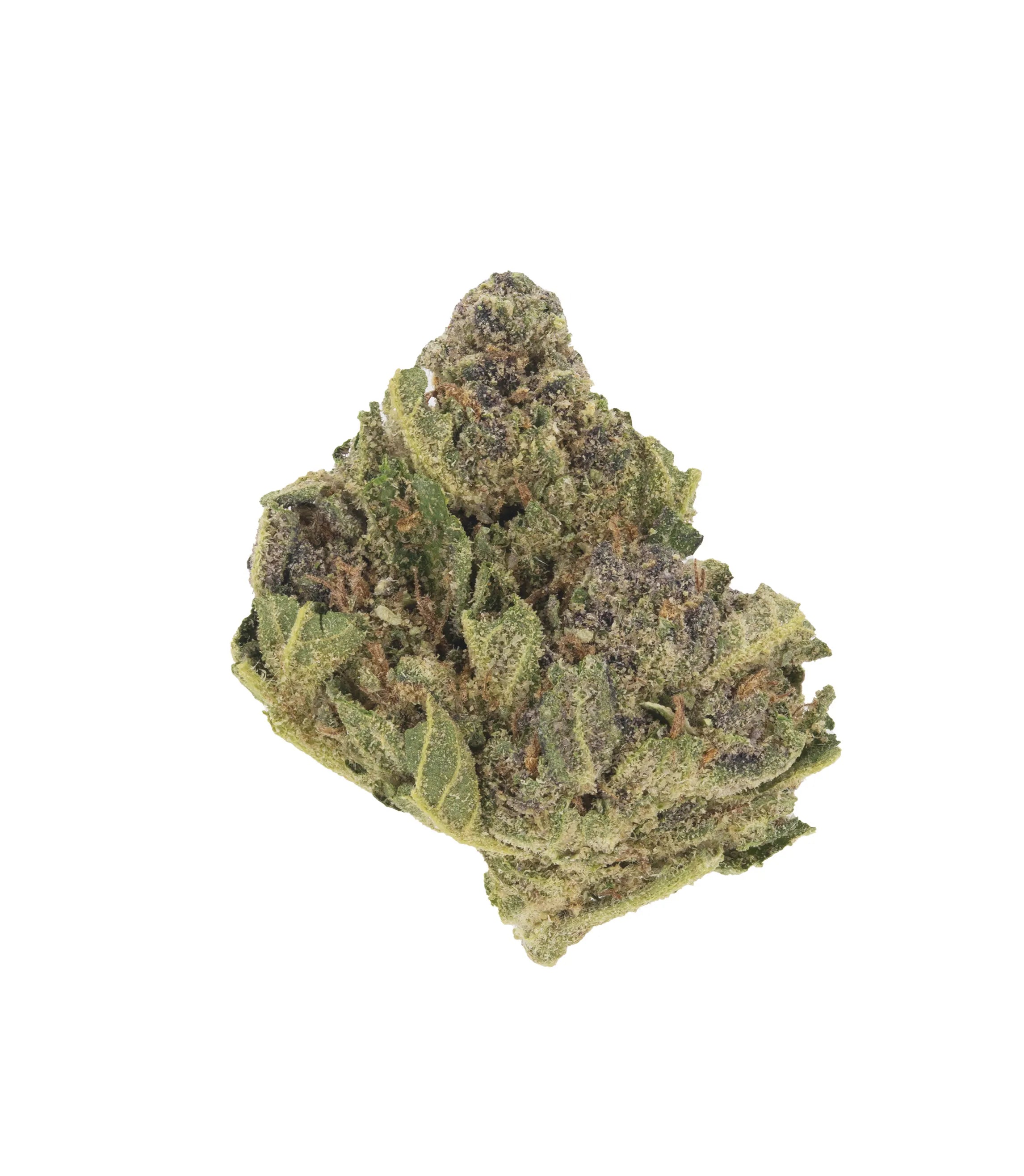 Gorilla Glue #4 Micros - Damn Good | Legal Cannabis