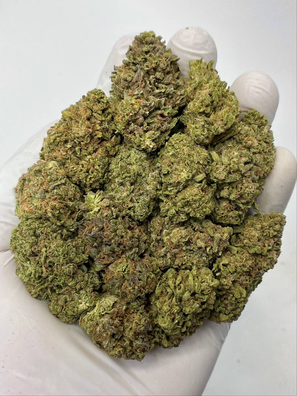 Bing Bong - Damn Good | Legal Cannabis