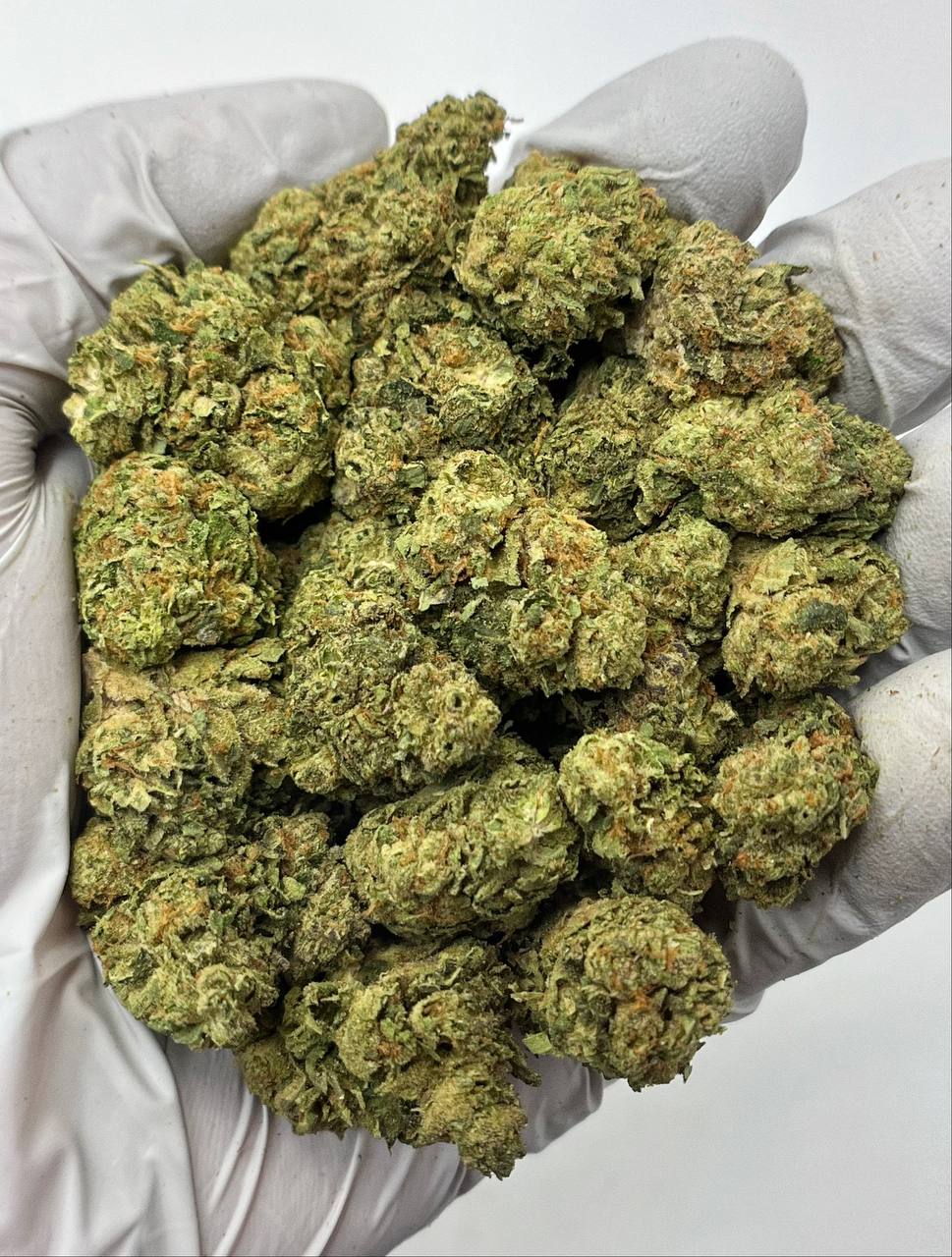 Cereal Milk - Damn Good | Legal Cannabis