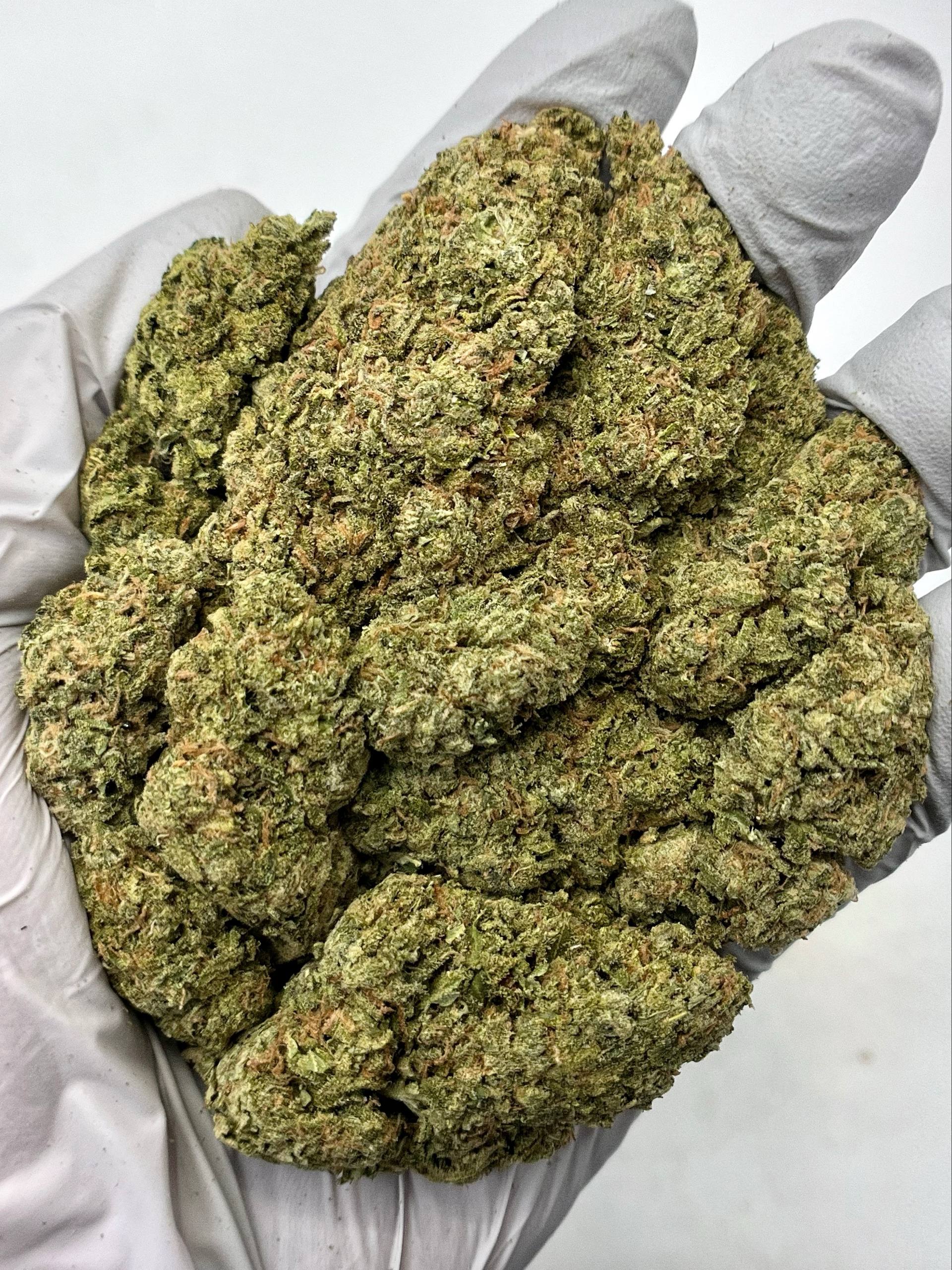 Blue Dream - Damn Good | Legal Cannabis