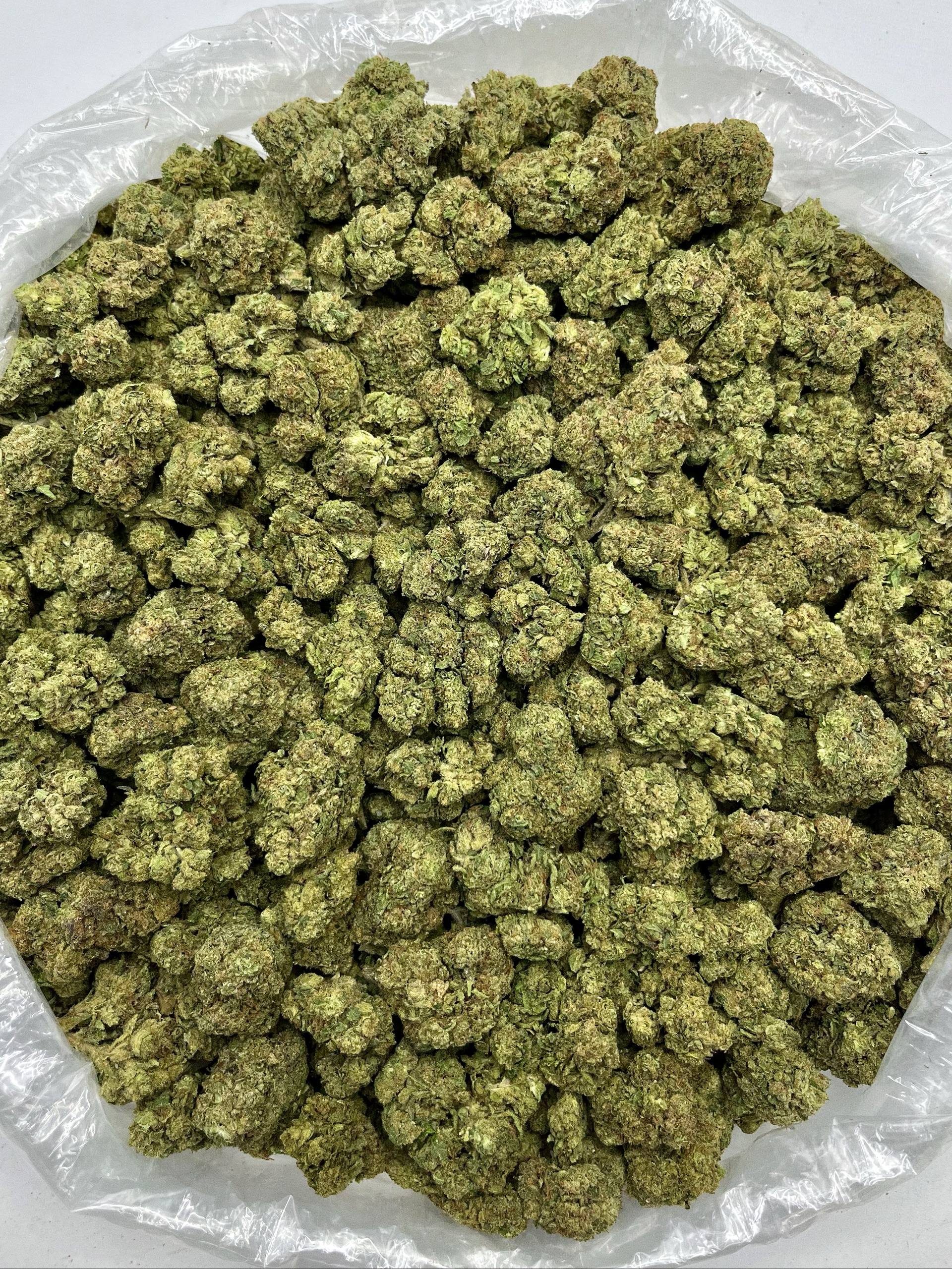 Cheese - Damn Good | Legal Cannabis