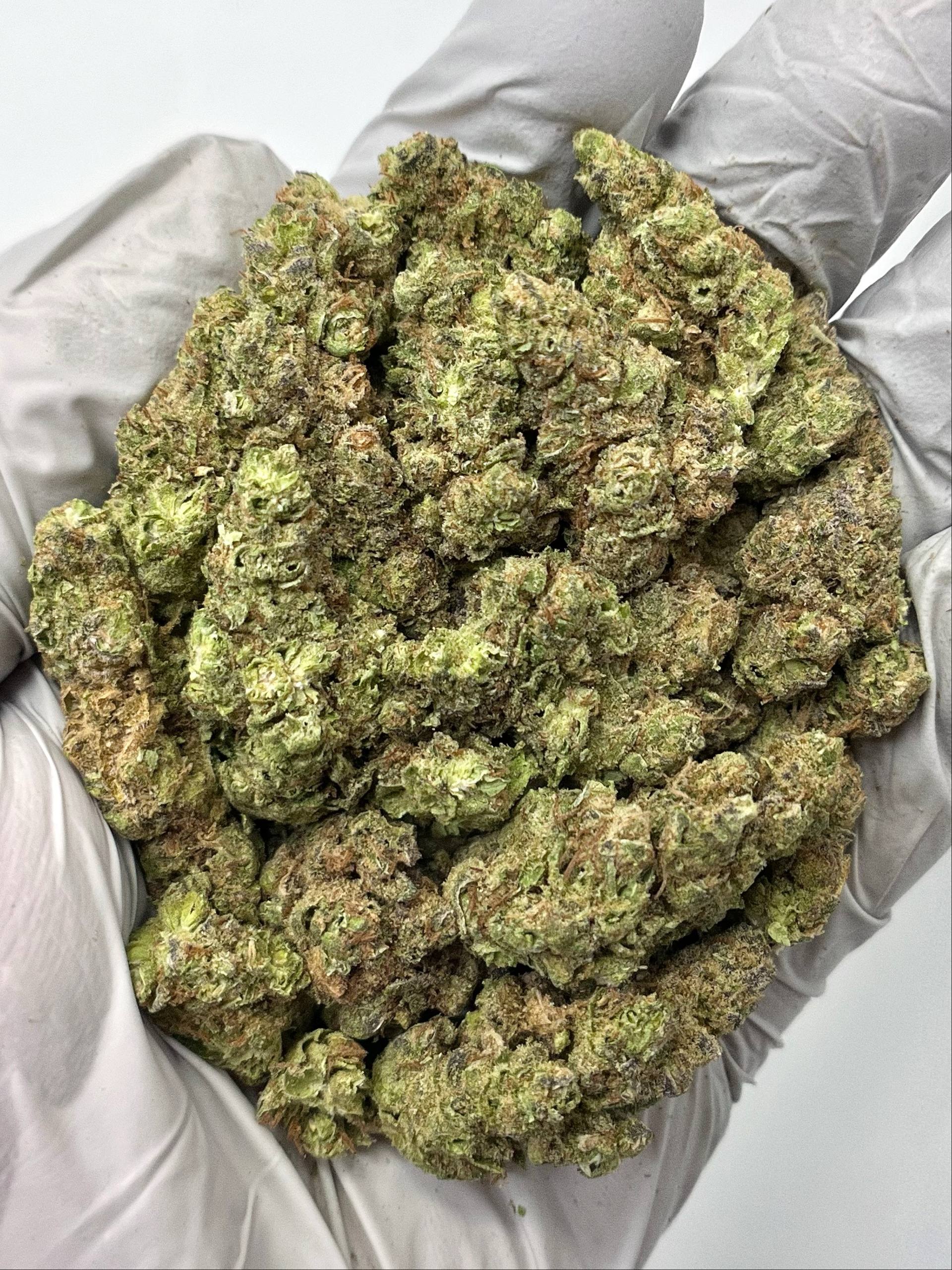 Chem’s Sister - Damn Good | Legal Cannabis