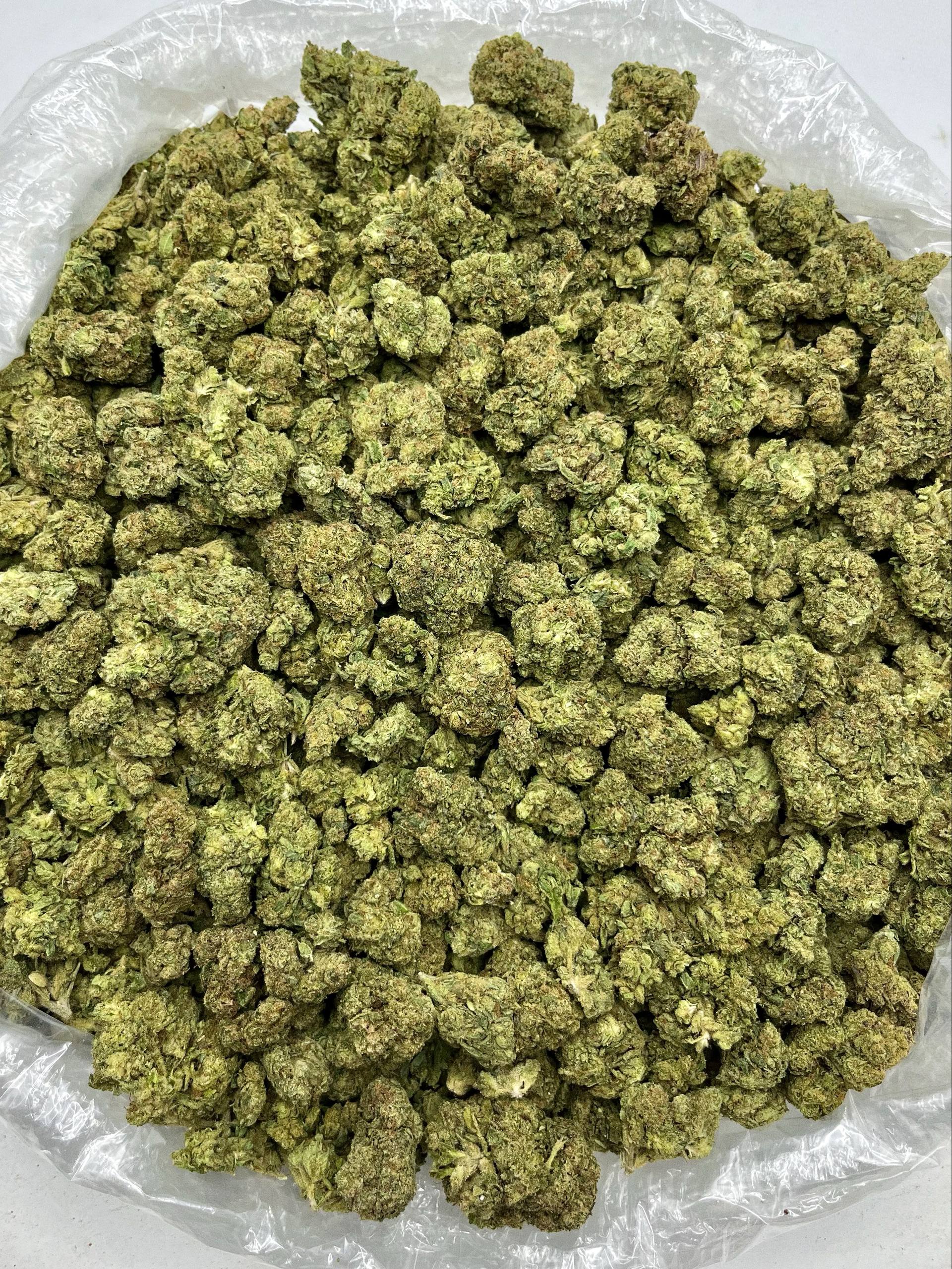 Girl Scout Cookies - Damn Good | Legal Cannabis