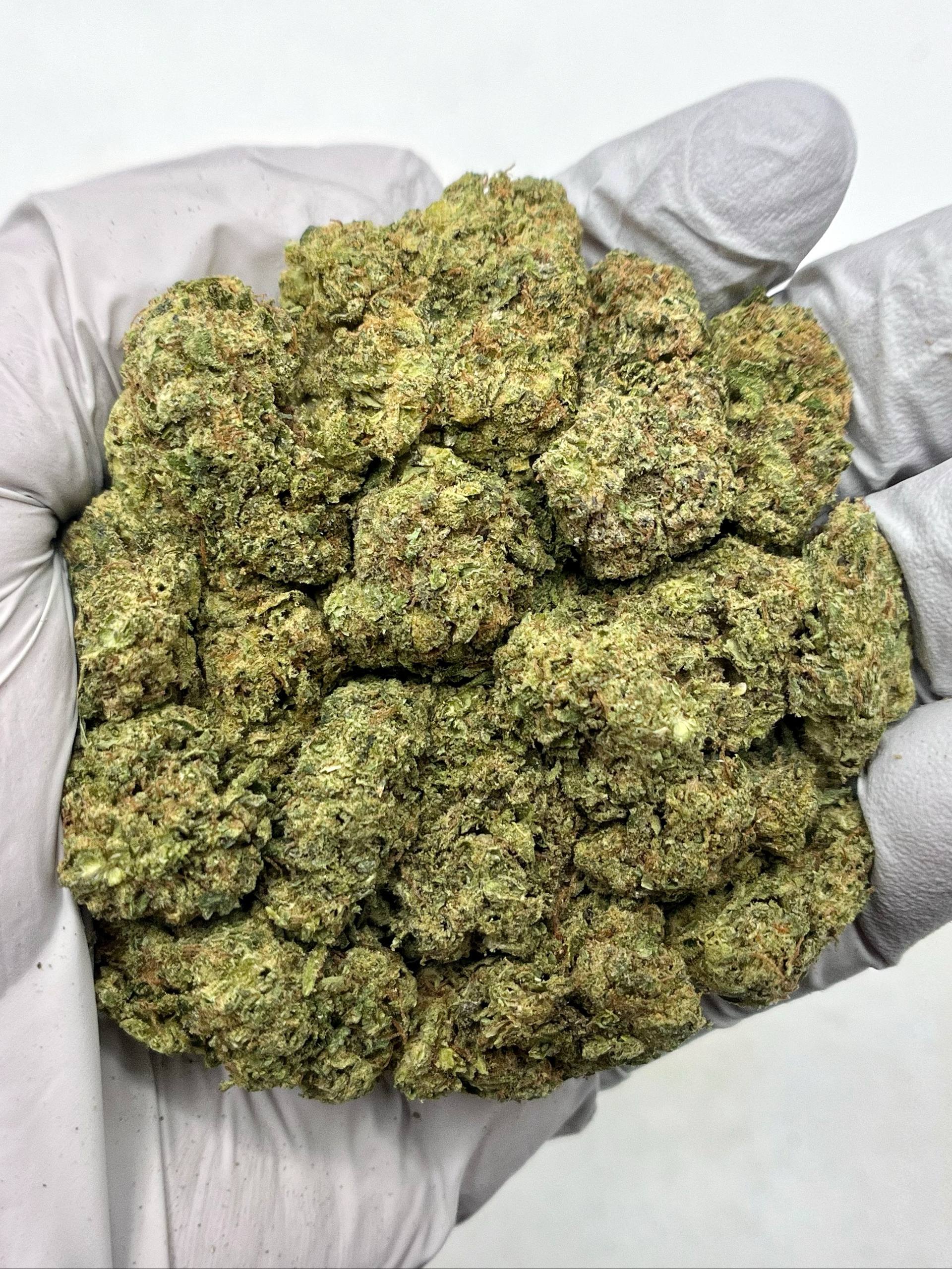 Girl Scout Cookies - Damn Good | Legal Cannabis