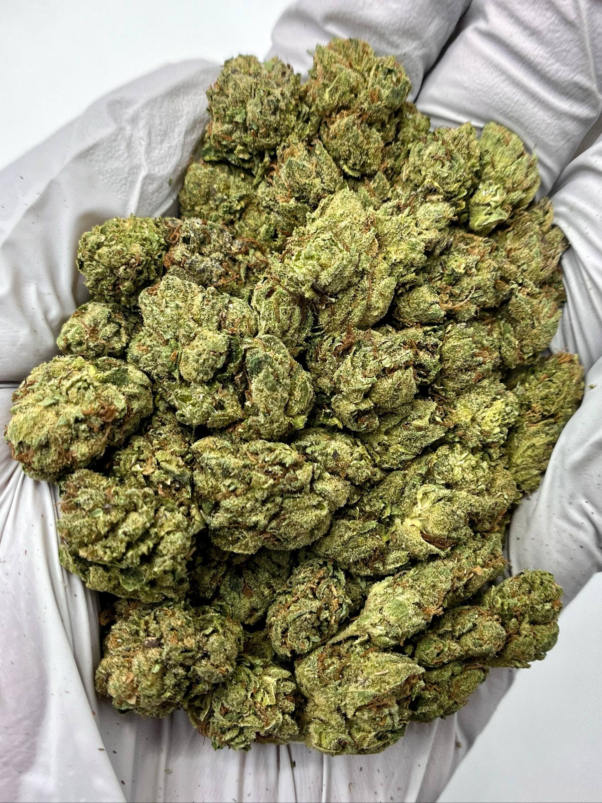 Lemon Cherry Gelato - Damn Good | Legal Cannabis