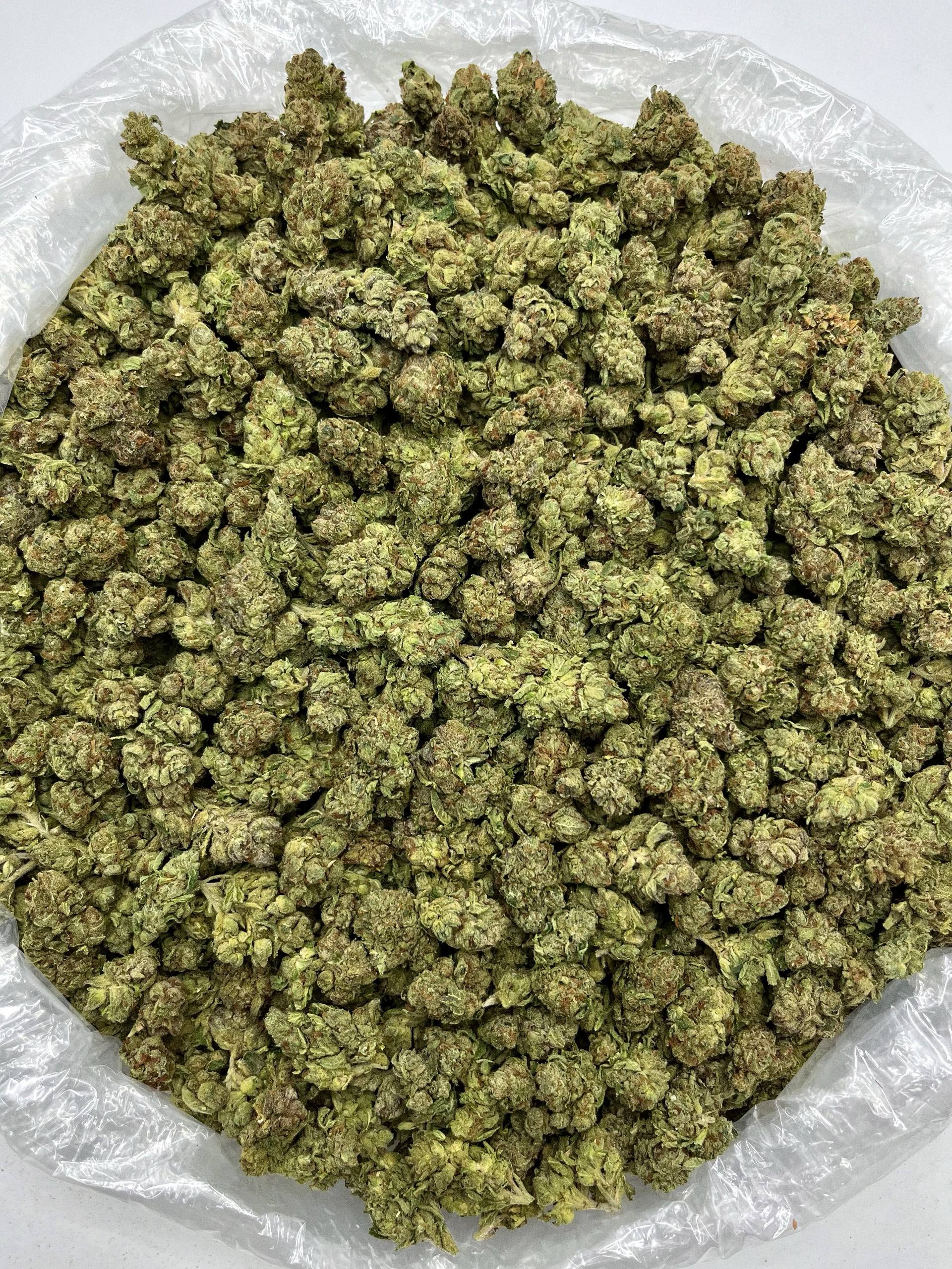 Pine OG - Damn Good | Legal Cannabis