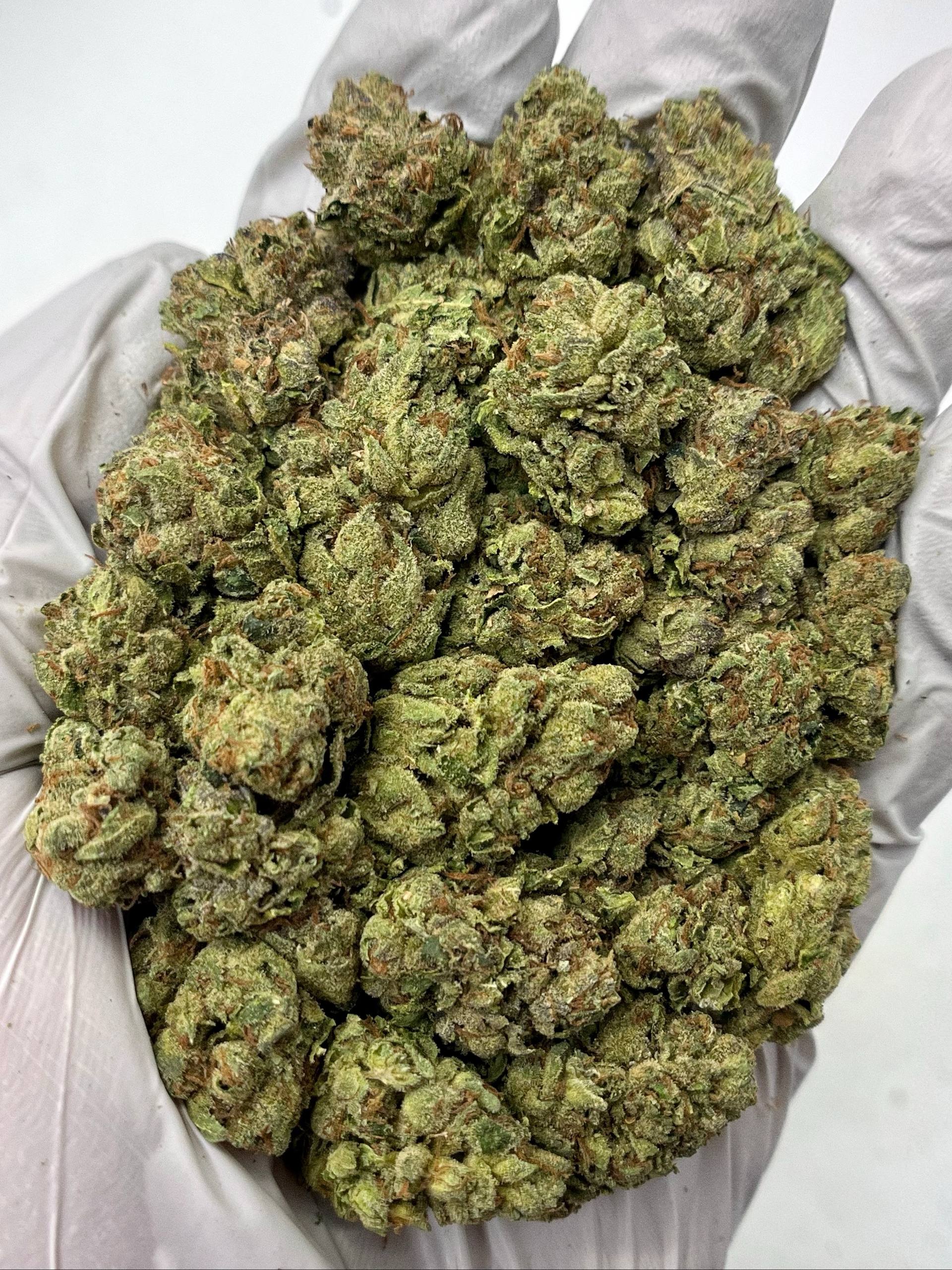 Pine OG - Damn Good | Legal Cannabis