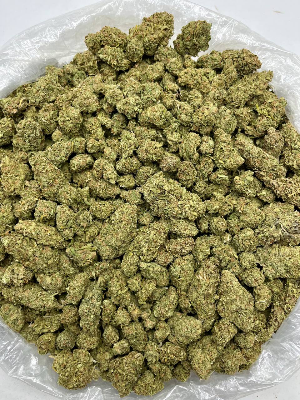 Sour Haze - Damn Good | Legal Cannabis