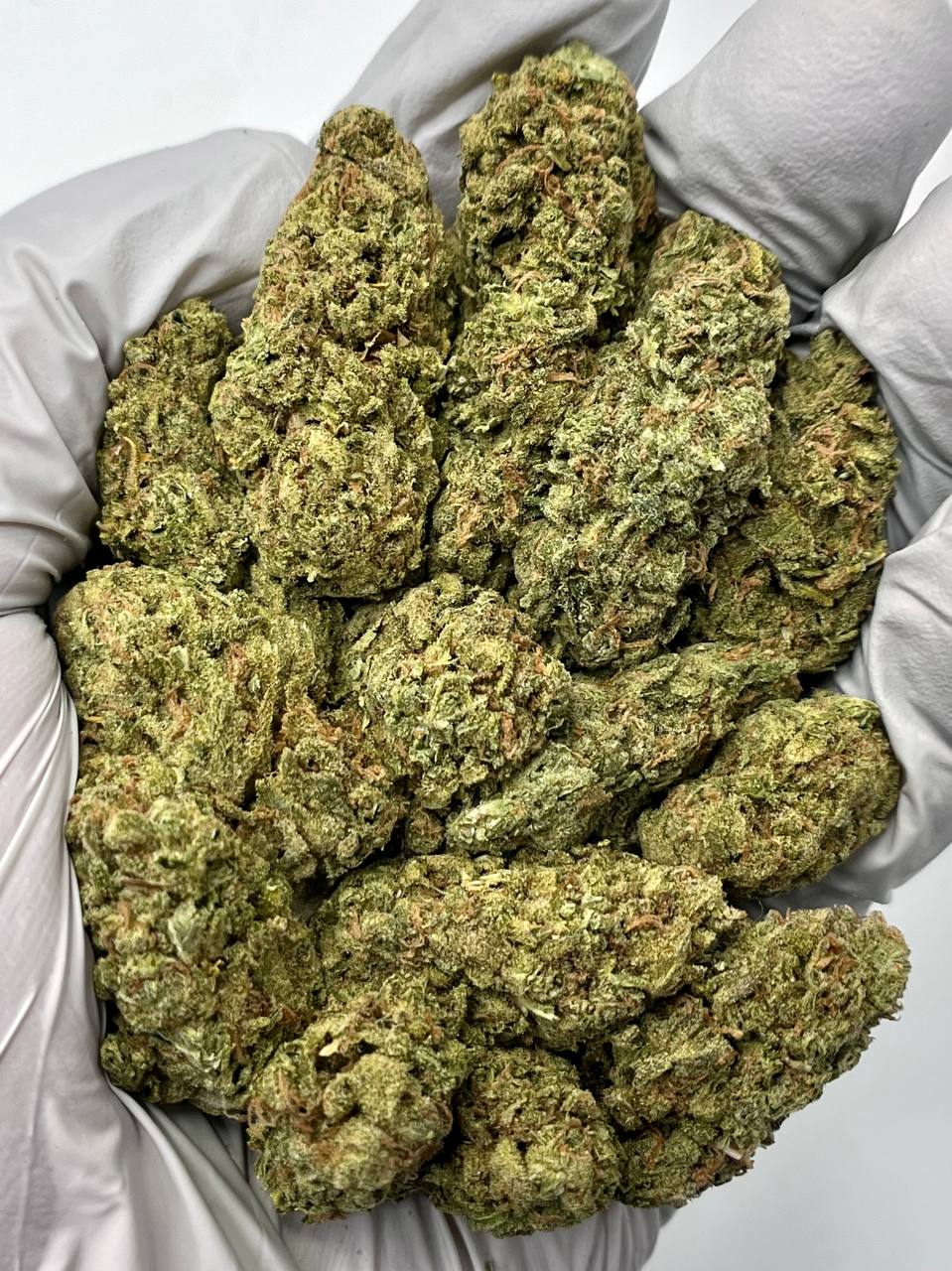 Sour Haze - Damn Good | Legal Cannabis