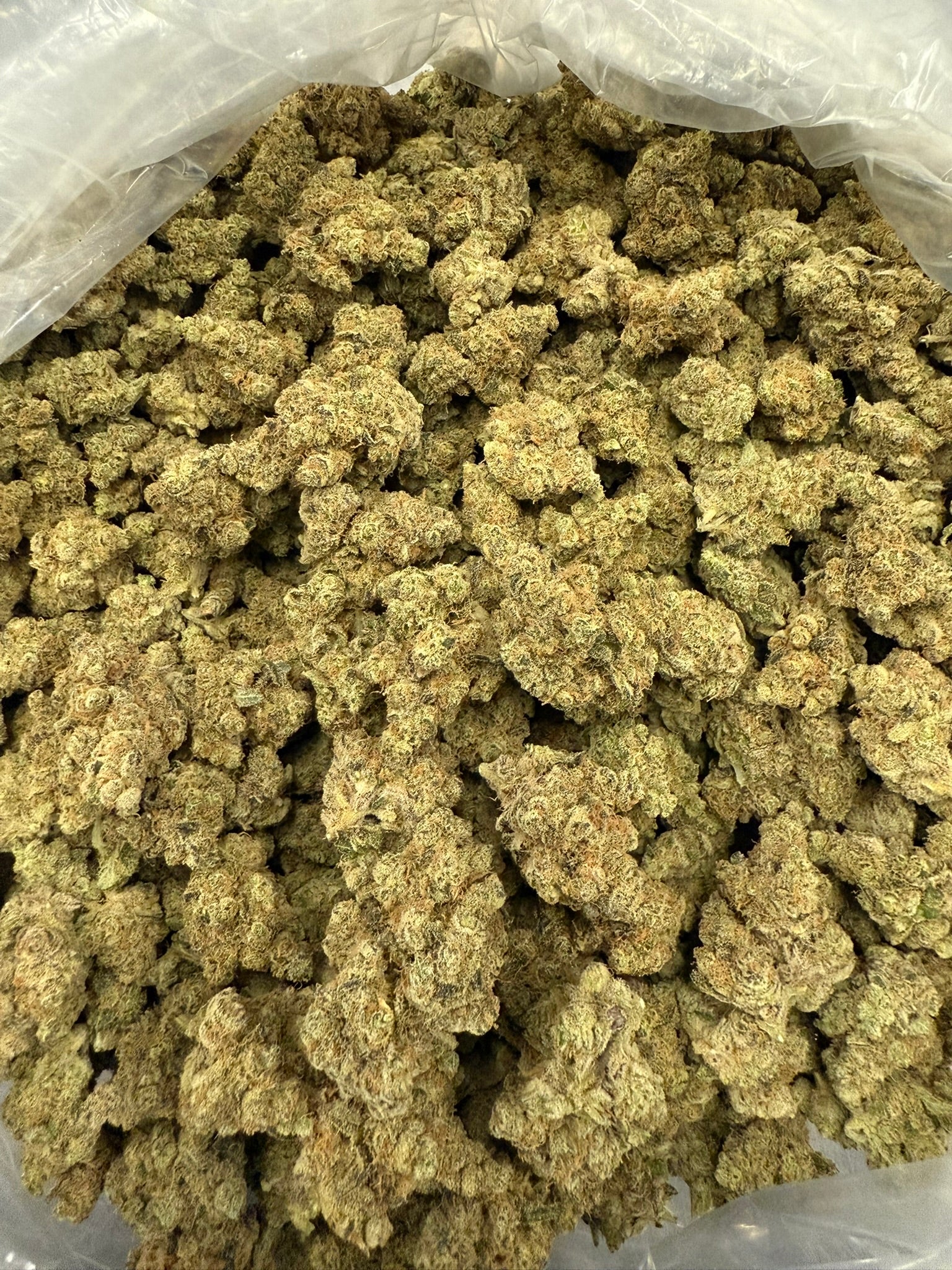 Airborne G13 × Super Silver Grail Haze - Damn Good | Legal Cannabis