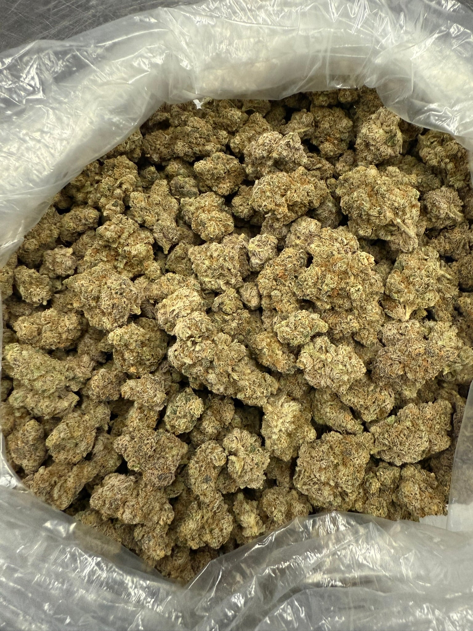 Amsterdam Cheese - Damn Good | Legal Cannabis