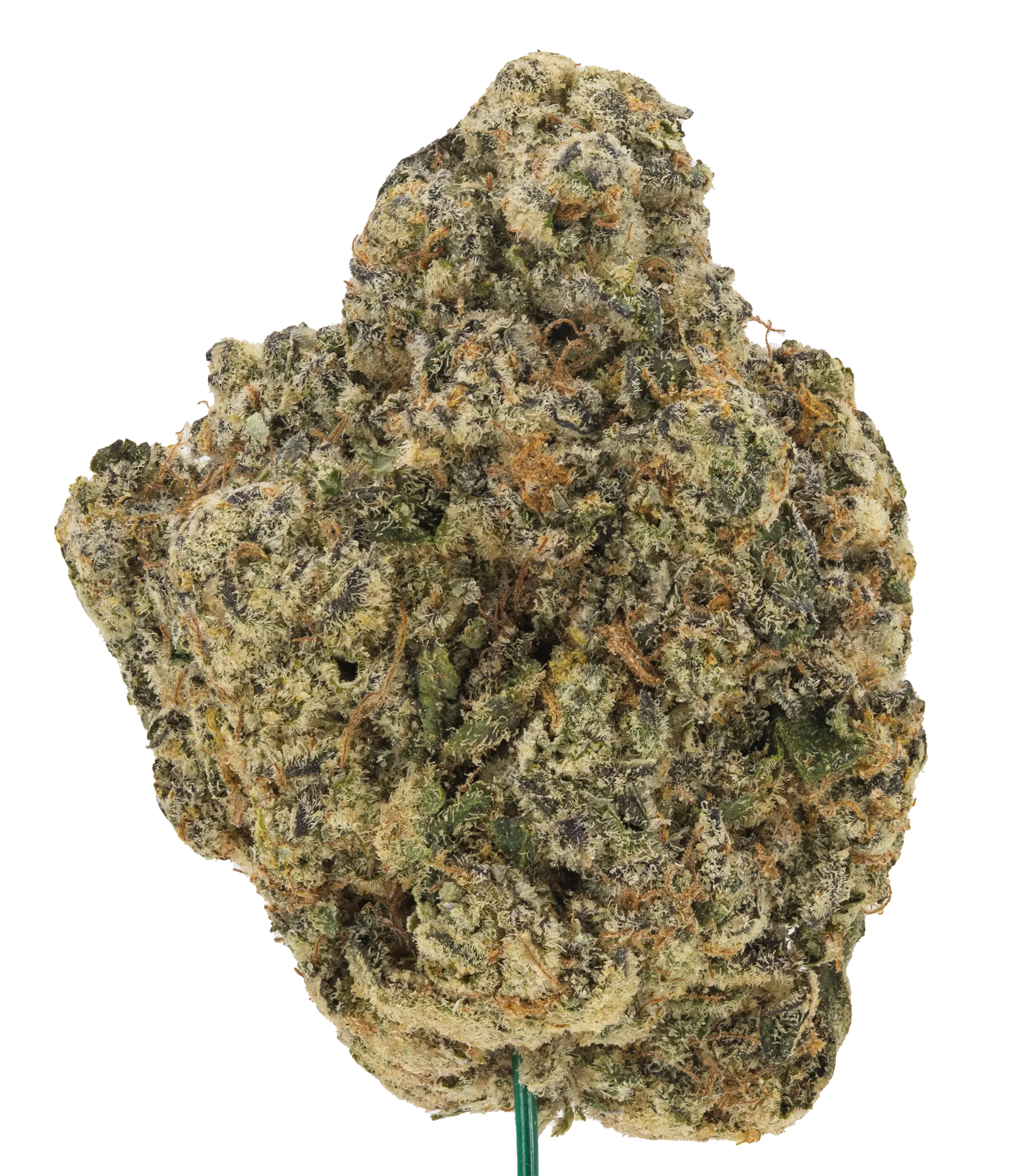 Animal Sherb Mintz - Damn Good | Legal Cannabis