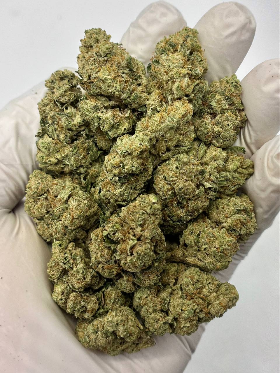 Banana OG - Damn Good | Legal Cannabis