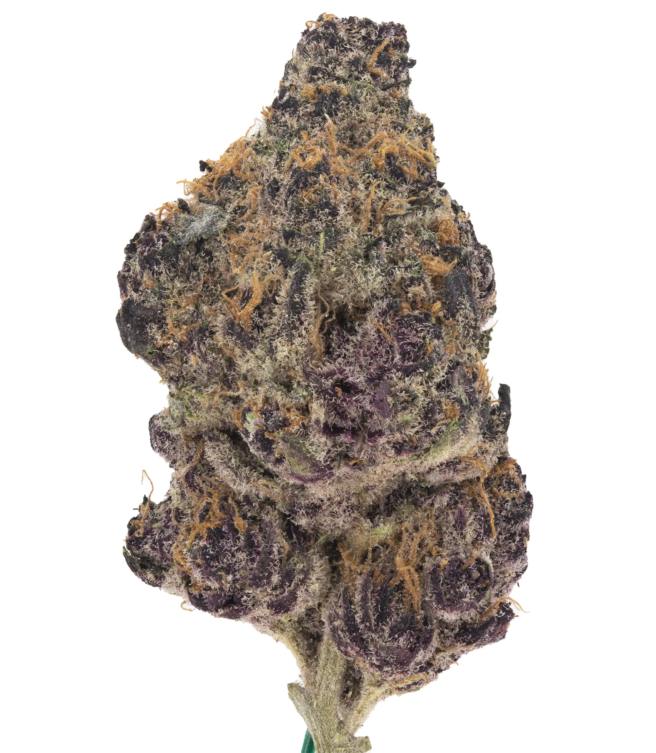 Test - Damn Good | Legal Cannabis