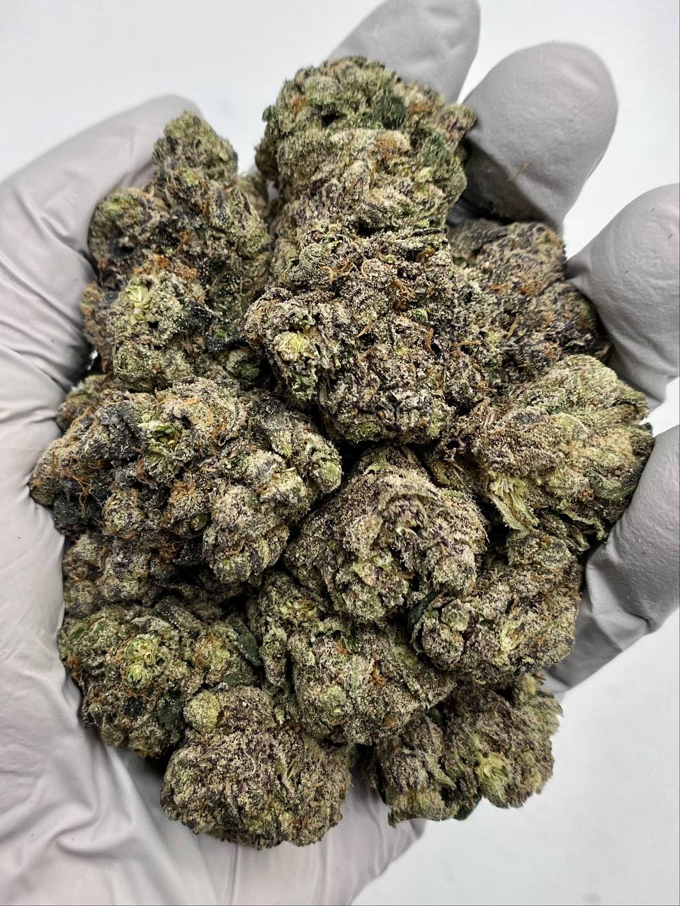 Blackcherry Blaster - Damn Good | Legal Cannabis