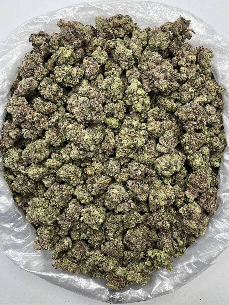 Blackcherry Blaster - Damn Good | Legal Cannabis