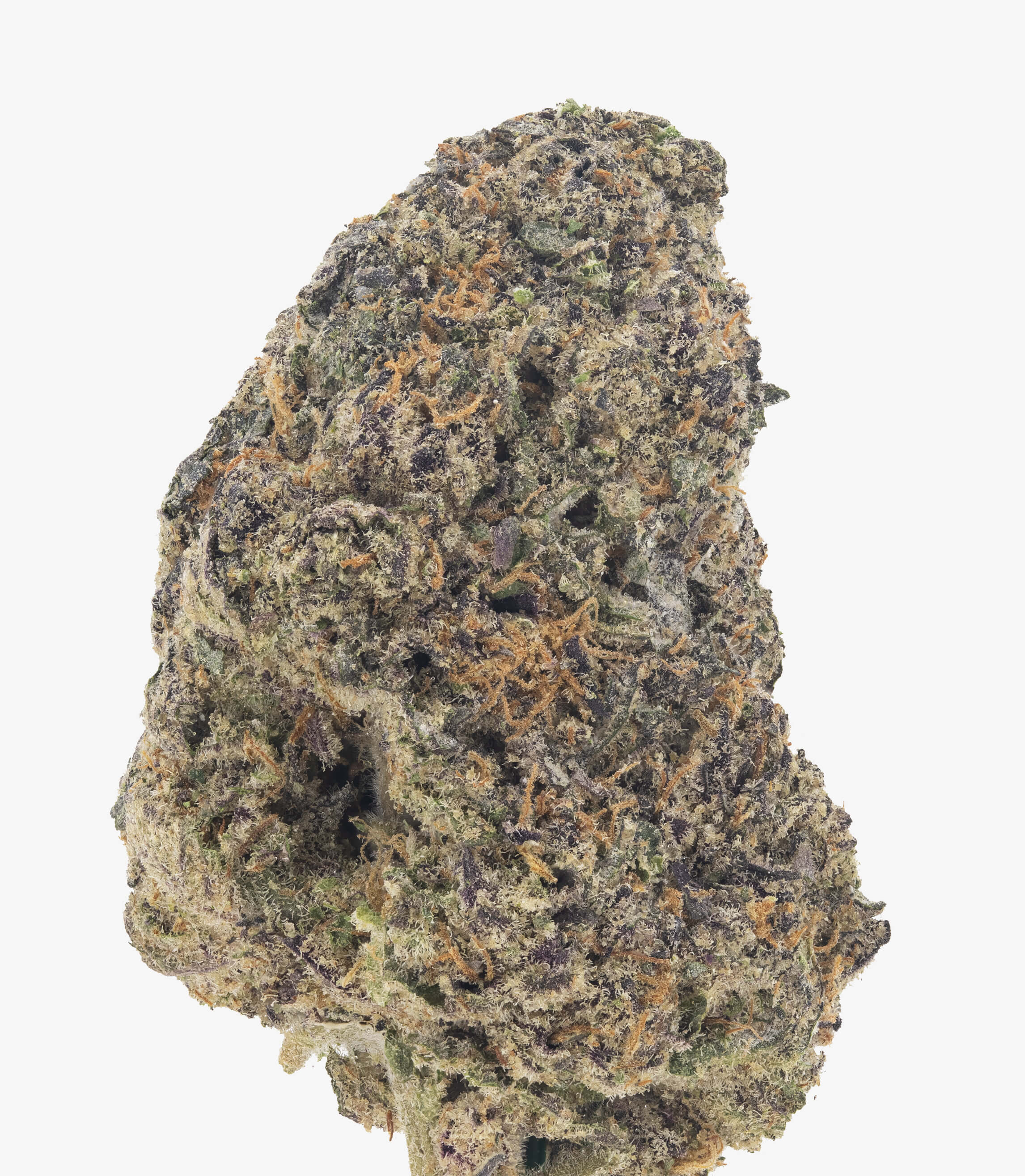 Block Party - Damn Good | Legal Cannabis