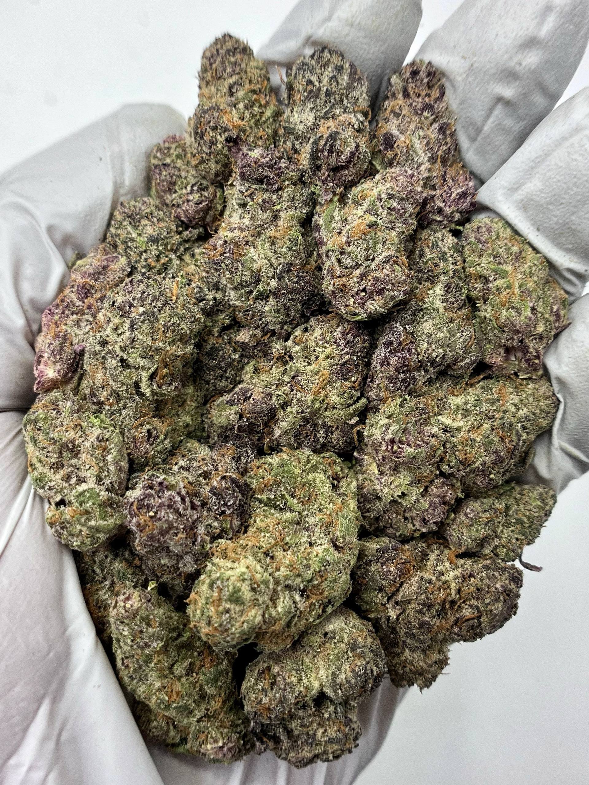 Blockberry - Damn Good | Legal Cannabis