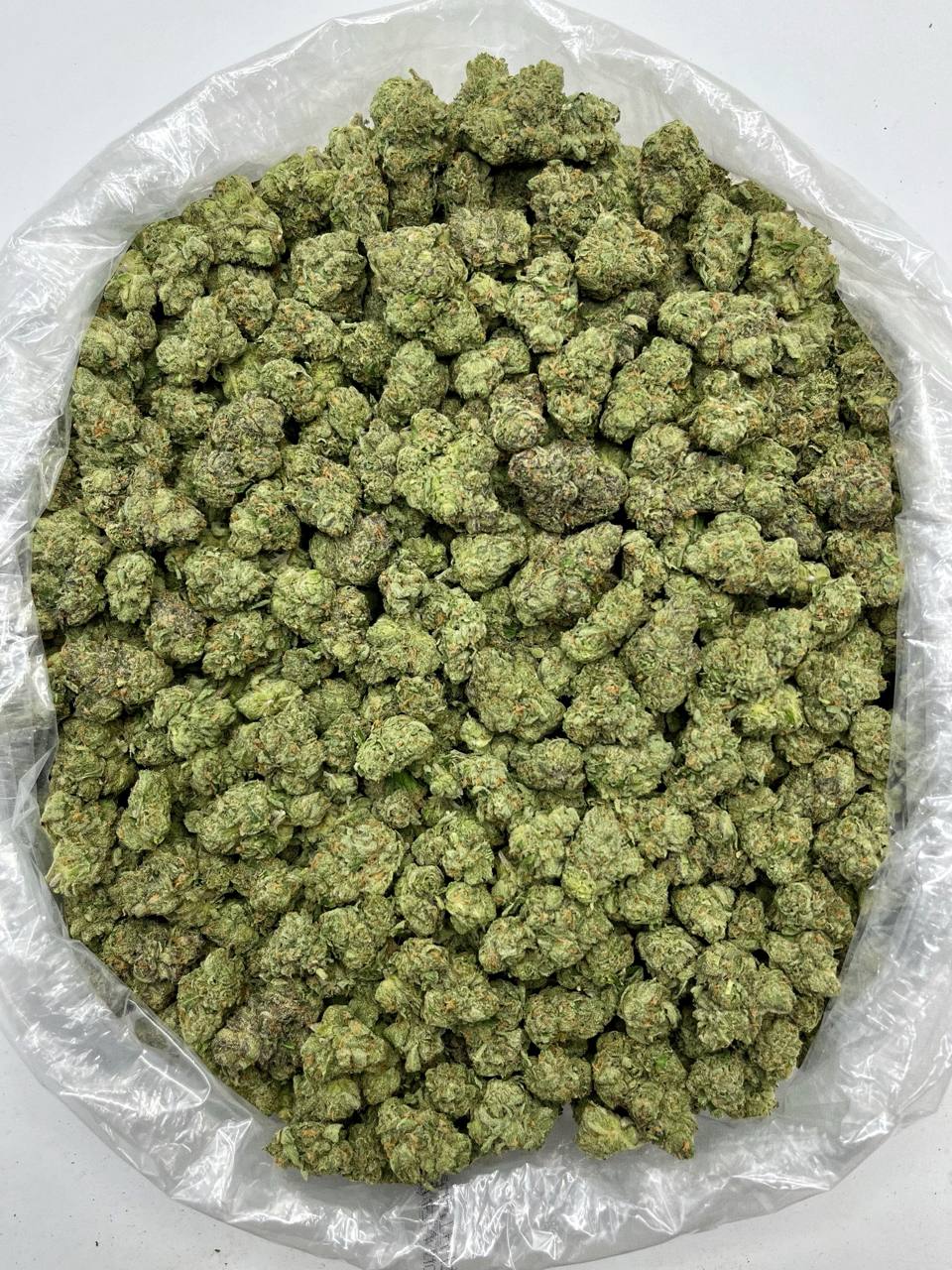 Blue Dream - Damn Good | Legal Cannabis