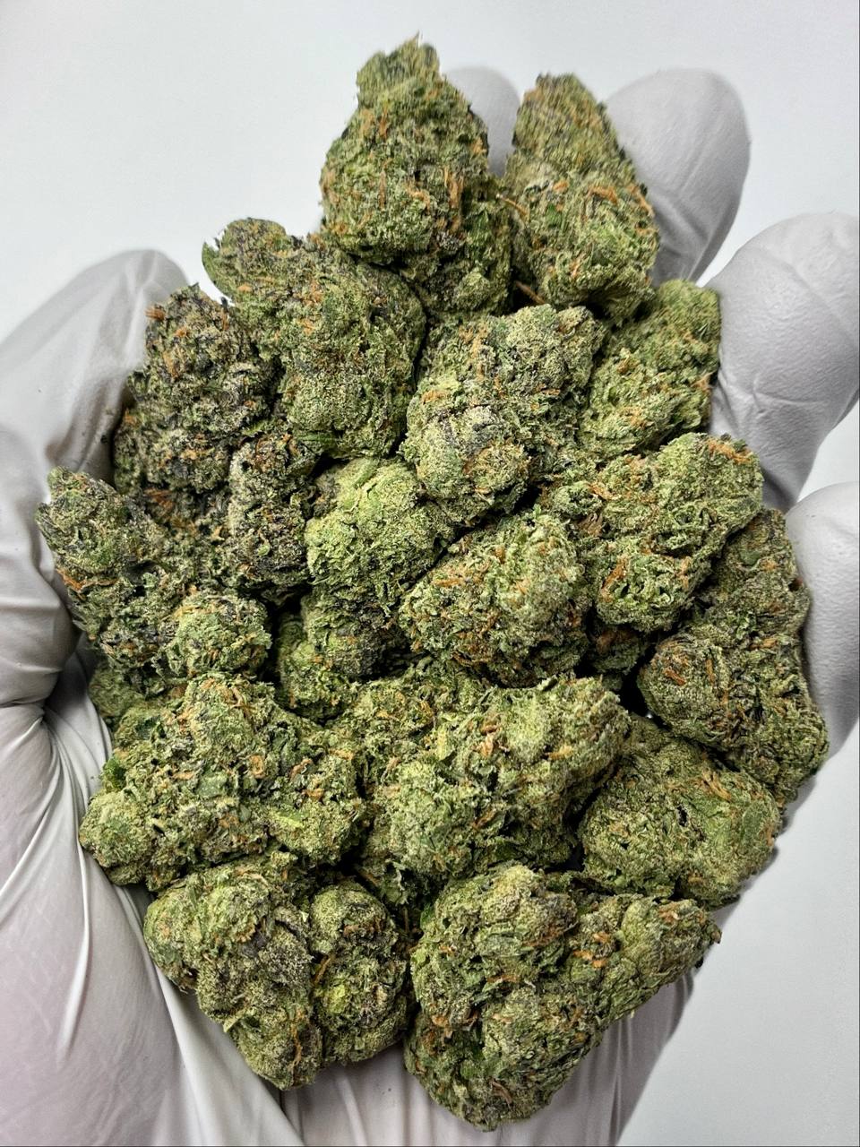 Blue Dream - Damn Good | Legal Cannabis