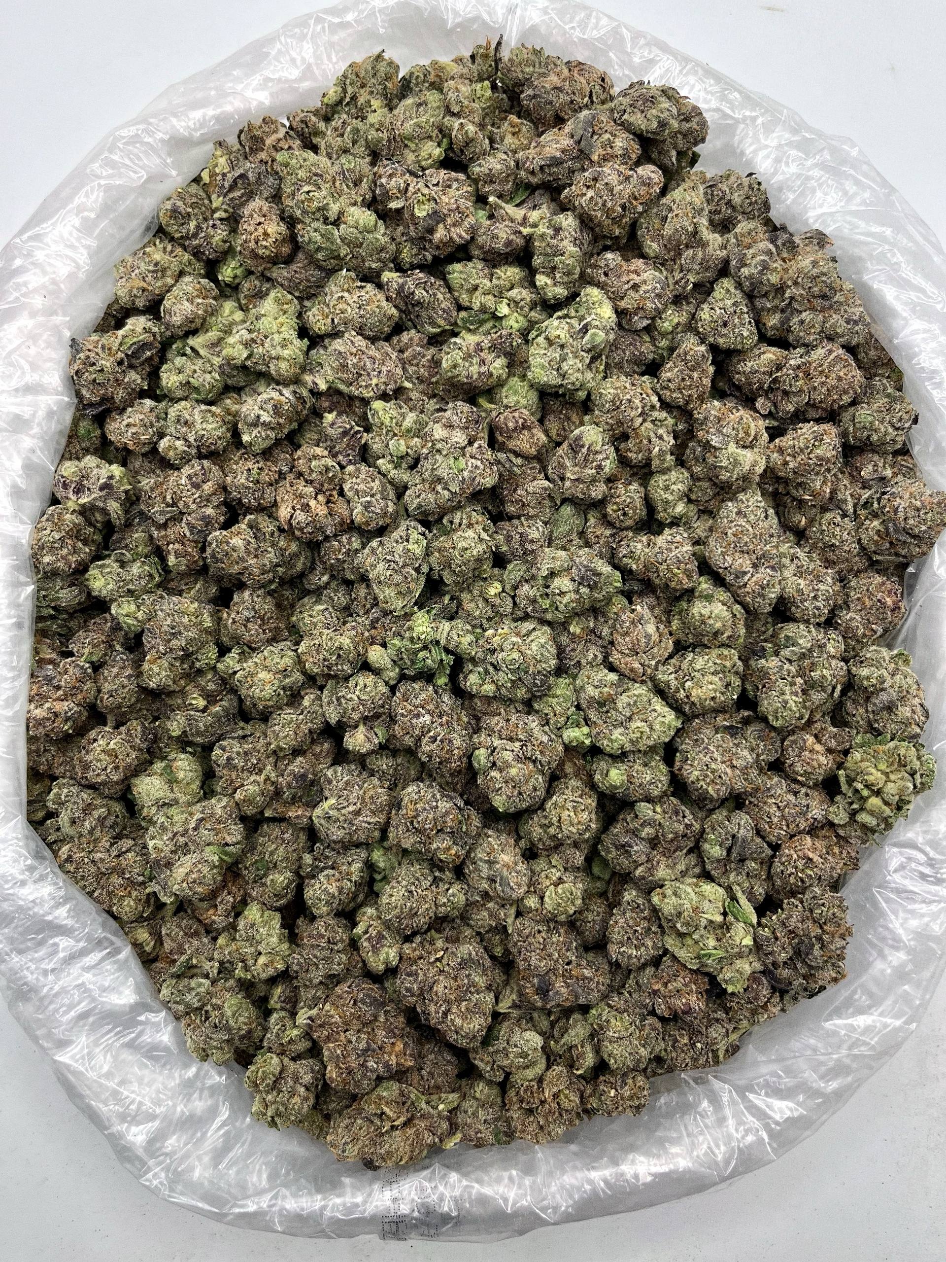 Bolo Runtz - Damn Good | Legal Cannabis