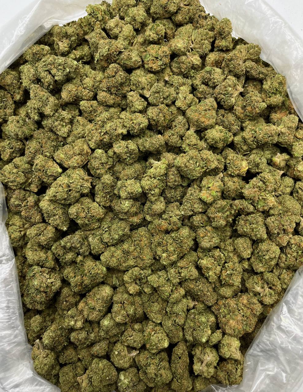 Bubba Kush - Damn Good | Legal Cannabis